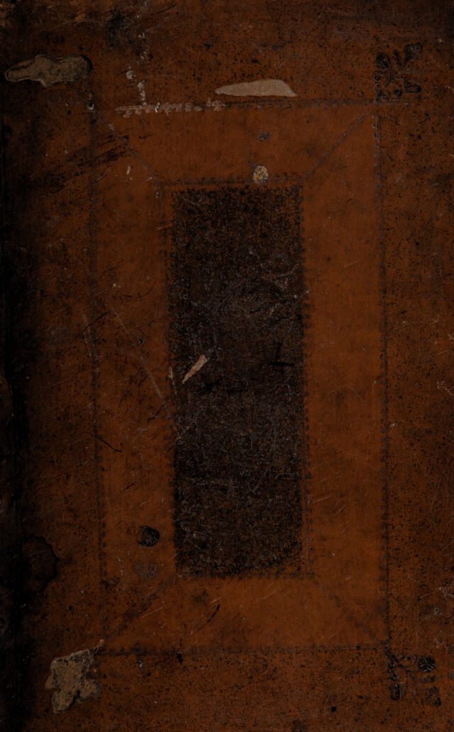 No text description is available for this image