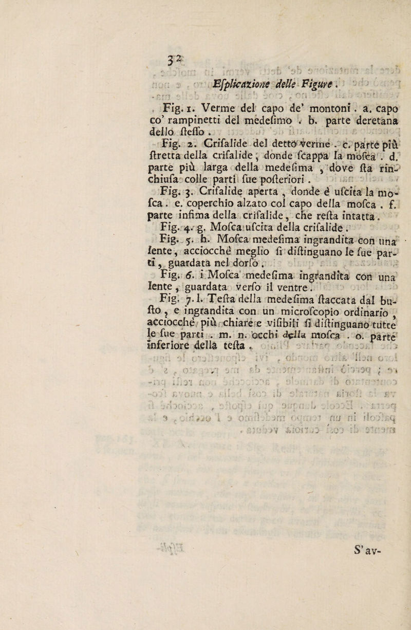 Efplicazione delle Figure Fig. i. Verme del capo de* monconi. a. capo co’ rampinettì del medefimo . b. parte deretana dello fiefib . Fig. 2. Crifalìde del detto verme . c parte più fìretta della crifalide> donde {cappa la moféad, parte più larga della mede fi ma 5 dove Ila rìn- chiufa colle parti fue pofieriori. Fig. 3. Crifalìde aperta , donde é ufcita la mo¬ lta . e. coperchio alzato col capo della mofca . f. parte infima della crifalìde, che refia intatta. Fig. 4. g. Mofca ufcita della crifalìde. Fig. 5. h. Mofca medefima ingrandita con una lente, acciocché meglio fi difiinguano le fue par¬ ti , guardata nel dorfò . Fig. 5. i Mofca medefima ingrandita con una lente , guardata verfo il ventre. Fig. 7.1. Teda della medefima fiaccata dal bu¬ llo , e ingrandita con un microfcopio ordinario acciocché più chiare e vifibili fi difiinguano tutce le fue parti . m. n. bechi della, mofca . o. parte inferiore della tefia . ' ■&amp;, ? r-f ■ i * r 5 ') ( - .; f r * • : J< * * U i OU - L .r- f _ JO ‘J : !r (ì ì ' ■ .i , ... « ; . ' • . >v hìoi bein _ .» t A t £ | iti rii ch-mi ; 1> o : m riì-f, V : mi . m a i :'CI S’av-
