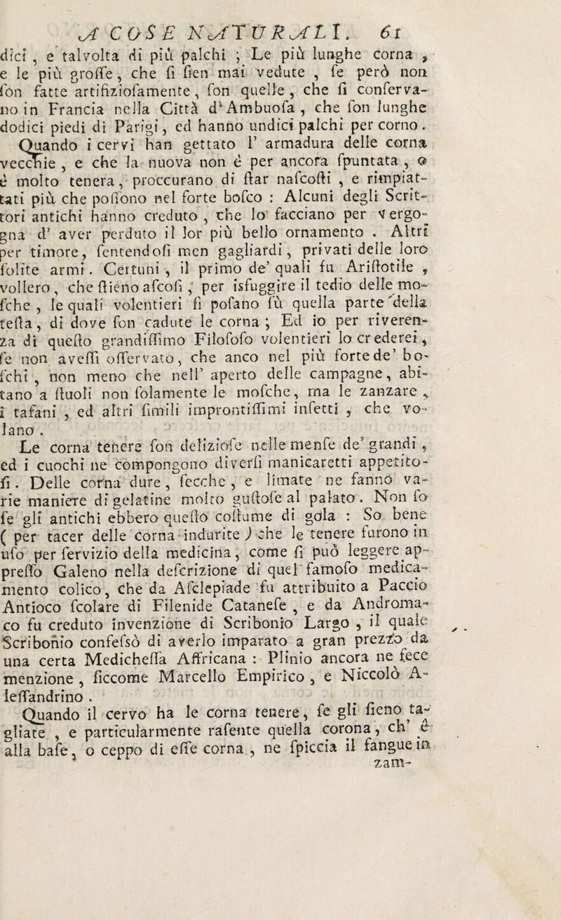 dici , e talvolta dì piu palchi ; Le pili lunghe corna , e le più grotte, che fi tten mai vedute , fé però non fon fatte artifiziofamente , fon quelle, che fi conferva¬ no in Francia nella Città d;Ambuofa, che fon lunghe dodici piedi di Parigi, ed hanno undici palchi per corno. Quando i cervi han gettato 1’ armadura delle corna vecchie , e che la nuova non è per ancora fpuntata , Q> è molto tenera, proccurano di ftar nafcotti , e rimpiat¬ tati più che poffono nel forte bofco : Alcuni degli Scrit¬ tori antichi hanno creduto , che lo facciano per vergo- gna d’ aver perduto il lor più bello ornamento . Altri per timore, fentendofi men gagliardi, privati delle loro lolite armi. Certuni , il primo de’quali fu Arittotiie , vollero, che {fieno afcofi , per isfuggìre il tedio delle mo- fche , le quali volentieri fi pofano lù quella parte della, tetta, di dove fon cadute le corna; Ed io per riveren¬ za di quello grandi filmo Filofoio volentieri lo crederei, fe non avelli ottervato, che anco nel più fortede’ bo- fcht , non meno che nell’ aperto delle campagne, abi¬ tano a lluoli non lettamente le mofche, ma le zanzare , i tafani , ed altri fimili iraprontiffimi infetti , che vo¬ lano . Le corna tenere fon deliziofe nelle menfe de5 grandi, ed i cuochi ne compongono diverfi manicaretti appetito- fi. Delle corna dure, iccche , e limate ne fanno va¬ rie maniere di gelatine molto guttole al palato. Non io fe gli antichi ebbero quello cottume di gola : So bene ( per tacer delle Corna indurite ) che le tenere furono in ufo per fervizio della medicina, come fi può leggere ap¬ pretto Galeno nella deferizione dì quel famofo medica¬ mento colico, Che da Afclepìade fu attribuito a Paccio Antioco fcolare di Filenide Catanefe , e da Androma- co fu creduto invenzione di Scribonio Largo * il quale Scribonio confefsò di averlo imparato a gran prezz'o da una certa Medichetta Affricana : Plinio ancora ne fece menzione , ficcome Marcello Empirico , e Niccolo A- lettandrino . . Quando il cervo ha le corna tenere, fe gli fieno ta¬ gliate , e partìcularmente rafente quella corona, eh é alia bafe, o ceppo di effe corna , ne fpiccia il fanguem 3 ‘ za ni-