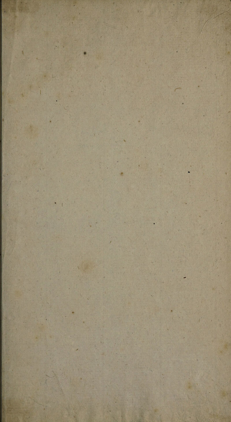 y f vy &amp;■ -1 '”7^^ f \ ’* I ï • ^ .•■K/.”' ;• s;. ^'yy ■ l-.vfcî- ■ -'Ty' 4 - ( • y 5” w-' *.i\' f ï». 7 r* 1^ ->. ■ . / *..î <r* *. J.. I .-( ’ 4’ '* ^ ■ ' • ''■■ VJ . V • i \ f ’t * ' ^ iA « • ■. ' •'■'■> f y\y :• • (r X) j'j -l r ' ' .“ ^•s J’.: *'■■'. V ■ ^Si''■■'.■ rCM-.' .'w'W >1 -V ■V' r^A‘3'1 - ^ ':%■ “■ V.'.