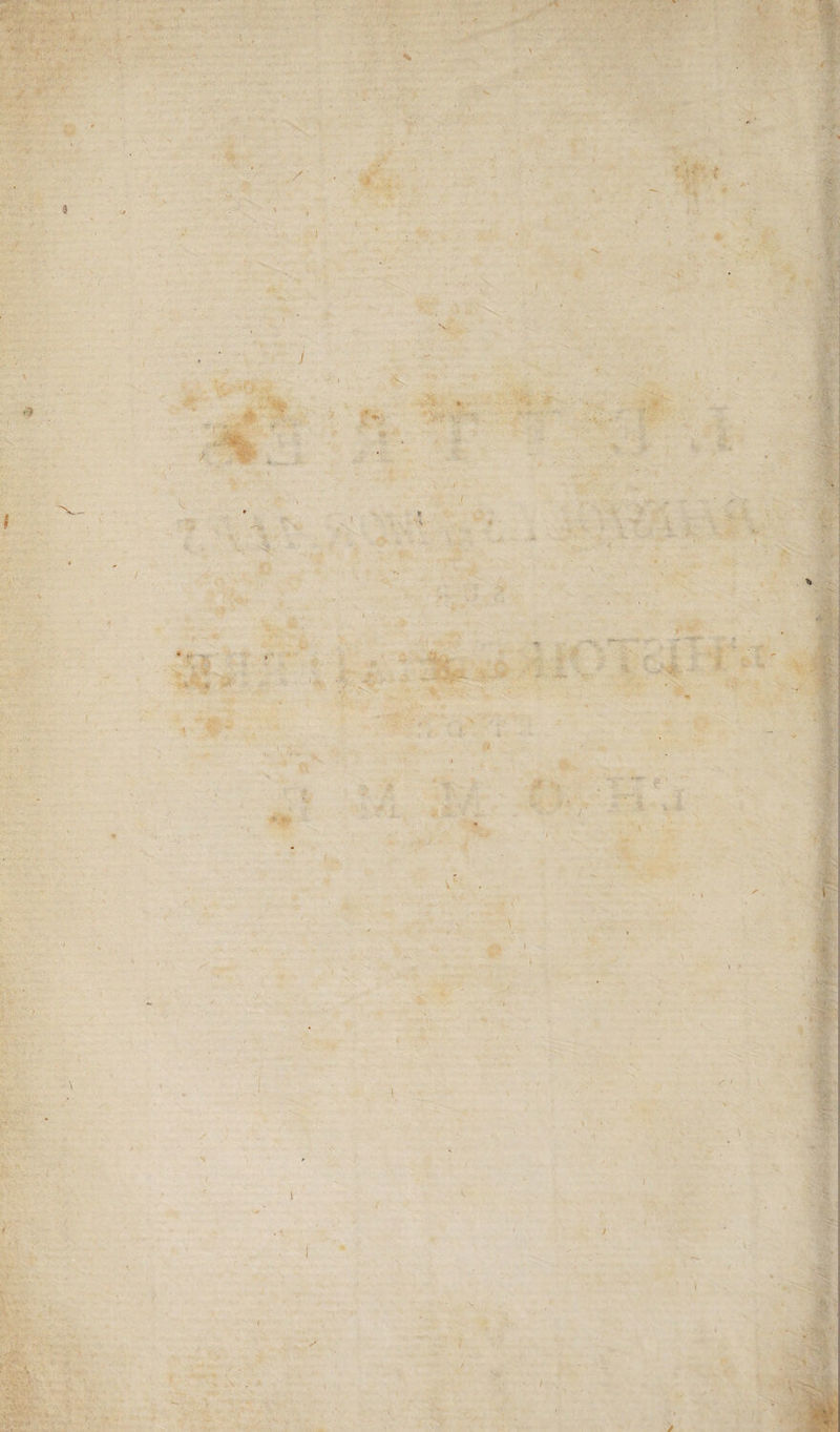 A ( ; r\ K \ y f ? 'é • > ï t