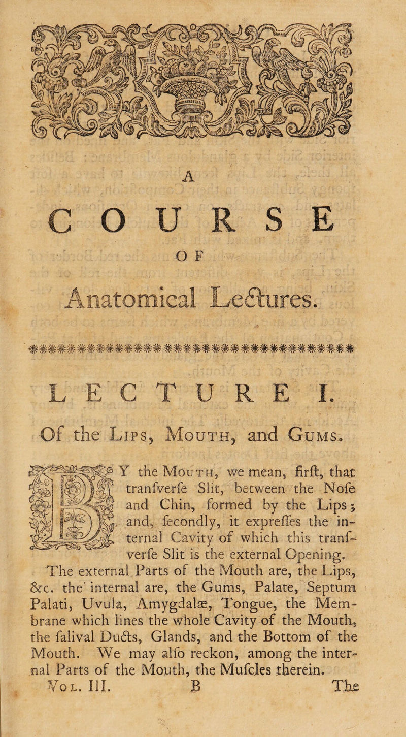 COURSE Q F Anatomical Lectures. LECTURE I. Of the Lips, Mouth, and Gums. Y the Mouth, we mean, firft, that 4tx' tranfverfe Slit, between the Nofe and Chin, formed by the Lips; and, fecondly, it expreffes the in¬ ternal Cavity of which this tranf¬ verfe Slit is the external Opening. The external Parts of the Mouth are, the Lips, &amp;x. the' internal are, the Gums, Palate, Septum Palati, Uvula, Amygdalse, Tongue, the Mem¬ brane which lines the whole Cavity of the Mouth, the falival Duds, Glands, and the Bottom of the Mouth. We may alfo reckon, among the inter¬ nal Parts of the Mouth, the Mufcles therein. Vol. III. .B The
