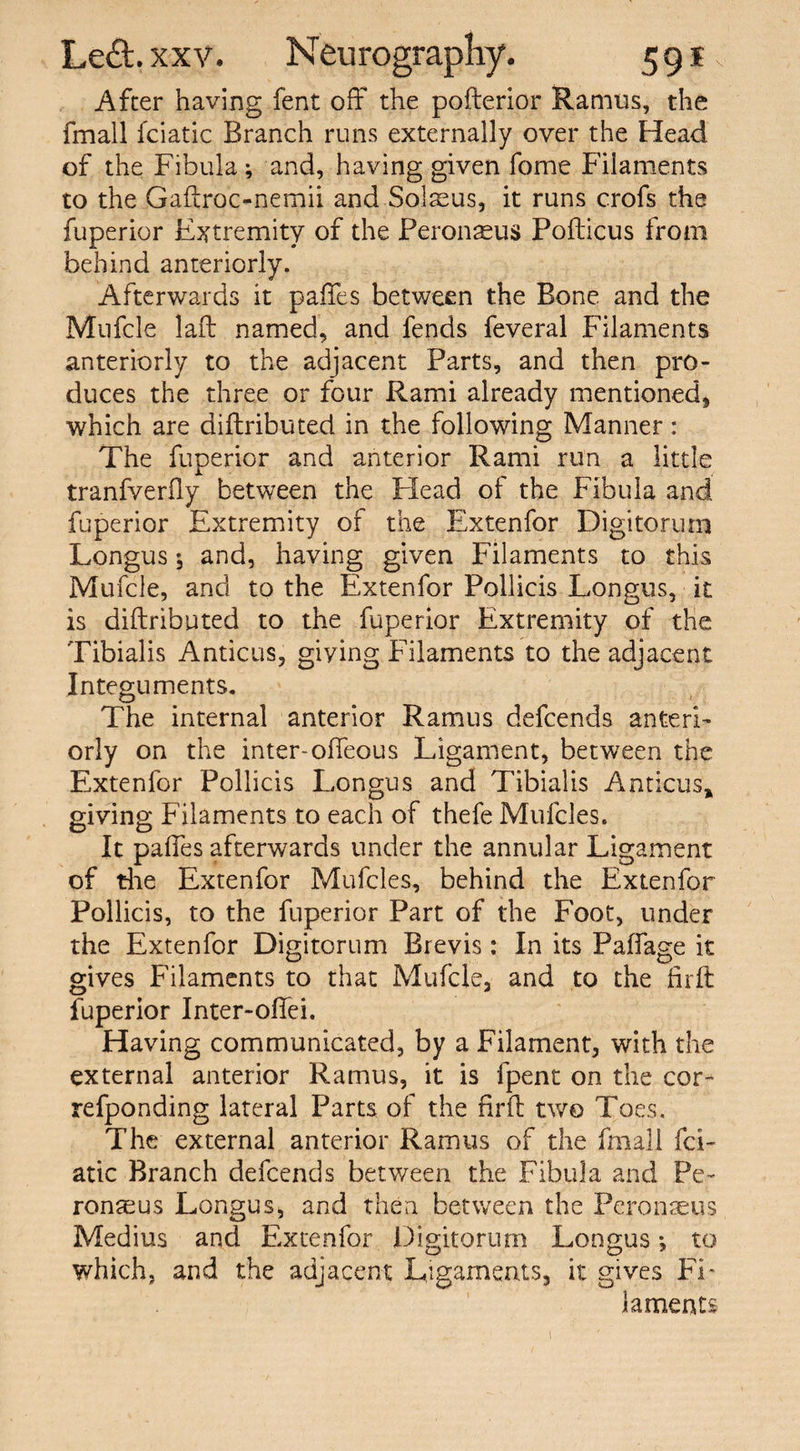 After having fent off* the pofterior Ramus, the fmall fciatic Branch runs externally over the Head of the Fibula ; and, having given fome Filaments to the Gaffroc-nemii and Solaeus, it runs crofs the fuperior Extremity of the Peronseus Pofticus from behind anteriorly. Afterwards it paftfes between the Bone and the Mufcle laft named, and fends feveral Filaments anteriorly to the adjacent Parts, and then pro¬ duces the three or four Rami already mentioned, which are diftributed in the following Manner : The fuperior and anterior Rami run a little tranfverffy between the Plead of the Fibula and fuperior Extremity of the Extenfor Digitorum Longus $ and, having given Filaments to this Mufcle, and to the Extenfor Pollieis Longus, it is diftributed to the fuperior Extremity of the Tibialis Anticus, giving Filaments to the adjacent Integuments. The internal anterior Ramus defcends anteri¬ orly on the inter-offeous Ligament, between the Extenfor Pollieis Longus and Tibialis Anticus* giving Filaments to each of thefe Mufcles. It pafles afterwards under the annular Ligament of the Extenfor Mufcles, behind the Extenfor Pollieis, to the fuperior Part of the Foot, under the Extenfor Digitorum Brevis: In its Paffage it gives Filaments to that Mufcle, and to the firffc fuperior Inter-offei. Having communicated, by a Filament, with the external anterior Ramus, it is fpent on the cor- refponding lateral Parts of the firft two Toes. The external anterior Ramus of the fmall fci¬ atic Branch defcends between the Fibula and Pe¬ ronseus Longus, and then between the Peronseus Medius and Extenfor Digitorum Longus *, to which, and the adjacent Ligaments, it gives Fi¬ laments