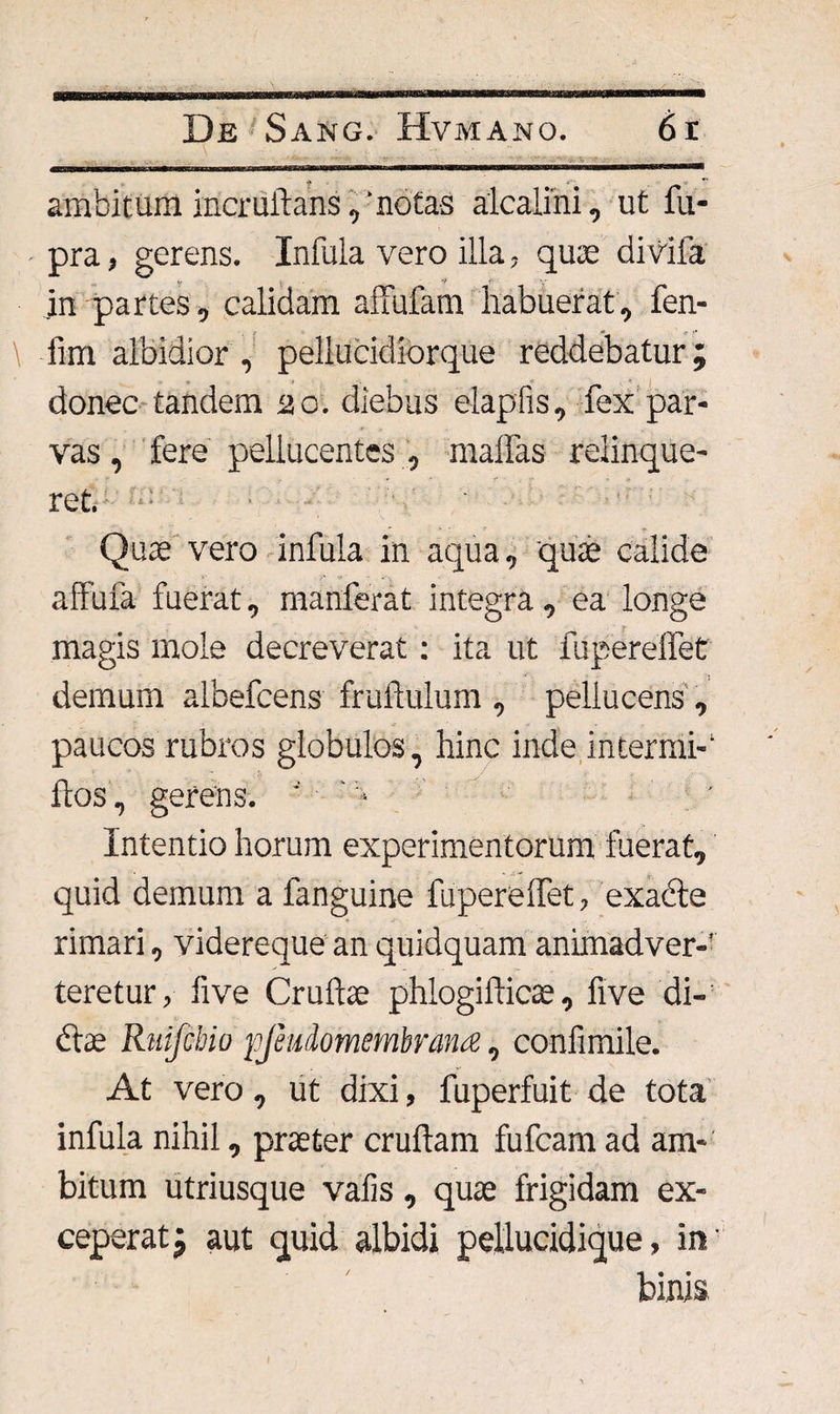 ambitum incruftans, ‘notas alcalini, ut fu- pra, gerens. Infula vero illa, quae divifa in partes, calidam affufam habuerat, fen- \ fim albidior , peliucidiorque reddebatur; donec tandem 20. diebus elapfis, fex par¬ vas , fere pellucentes , malfas relinque¬ ret. Quae vero infula in aqua, quae calide affufa fuerat, manferat integra, ea longe magis mole decreverat: ita ut fuperelfet demum albefcens fruilulum , pellucens , paucos rubros globulos, hinc inde interrai-* flos, gerens. '' ' * Intentio horum experimentorum fuerat, quid demum a languine fupereifet, exacte rimari, videreque an quidquam animadver¬ teretur, live Crufue phlogillicae, five di¬ dite Rttifcbio pjeudomembrana, confimile. At vero, ut dixi, fuperfuit de tota infula nihil, praeter crullam fufcam ad am¬ bitum utriusque vafis, quae frigidam ex¬ ceperat; aut quid albidi pellucidique, in' binis