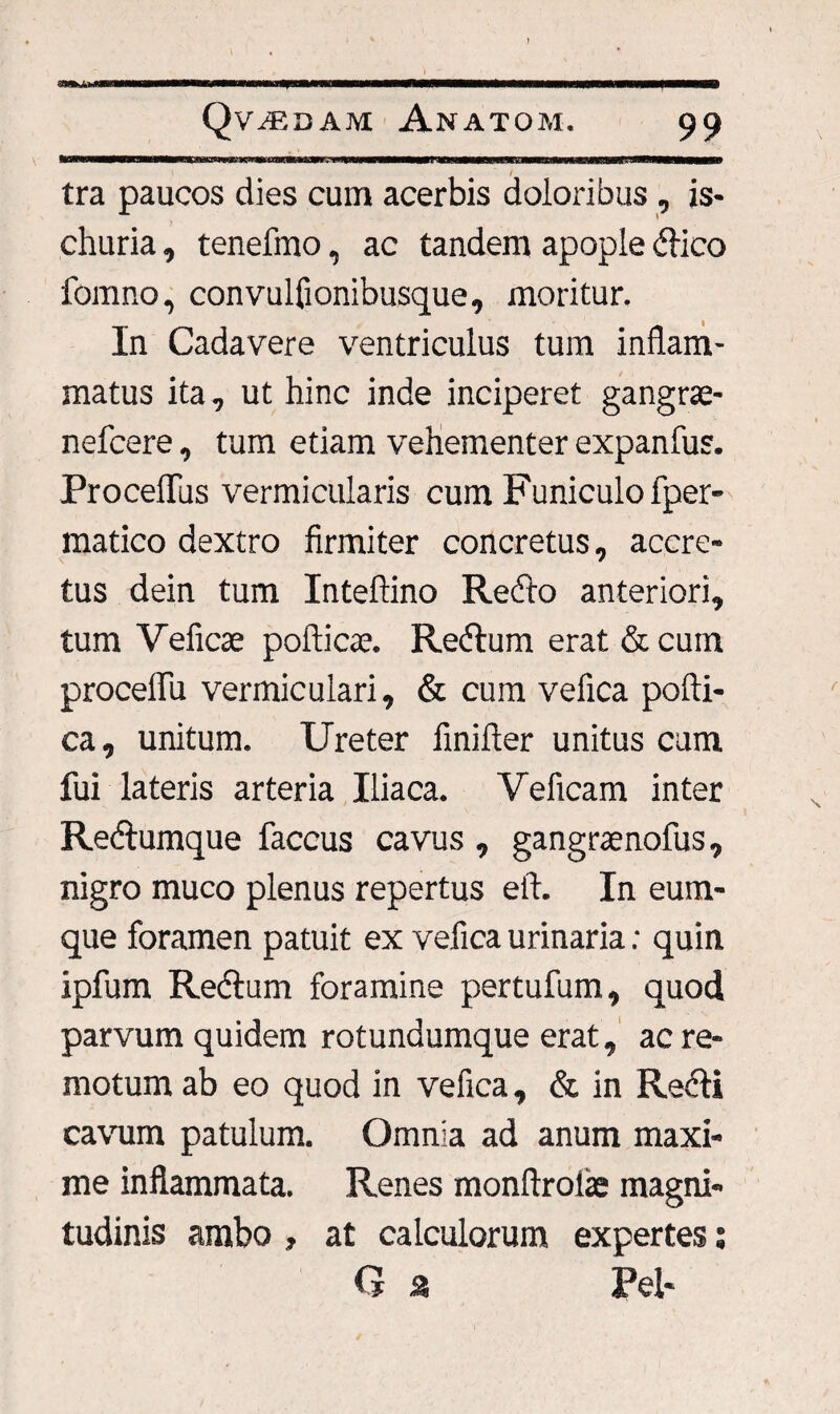 ) Qvasdam Anatom. 99 mmmmmmmmmmmmasmrnm wmmtamitmam iiumwr—wim—iii'w «iumihhii—nwn ——ii——p tra paucos dies cum acerbis doloribus , is- churia, tenefmo, ac tandem apople dico fomno, convulfionibusque, moritur. In Cadavere ventriculus tum inflam¬ matus ita, ut hinc inde inciperet gangrse- nefcere, tum etiam vehementer expanfus. Procellas vermicularis cum Funiculo fper- matico dextro firmiter concretus, accre¬ tus dein tum Inteftino Redo anteriori, tum Veficse pofticax Redum erat & cum procellit vermiculari, & cum vefica pofti- ca, unitum. Ureter finifler unitus cum fui lateris arteria Iliaca. Veficam inter Redumque faccus cavus , gangraenofus , nigro muco plenus repertus eft. In eum- que foramen patuit ex vefica urinaria; quin ipfum Redum foramine pertufum, quod parvum quidem rotundumque erat, ac re¬ motum ab eo quod in vefica, & in Redi cavum patulum. Omnia ad anum maxi¬ me inflammata. Renes monftrofie magni¬ tudinis ambo , at calculorum expertes; G a Pel-