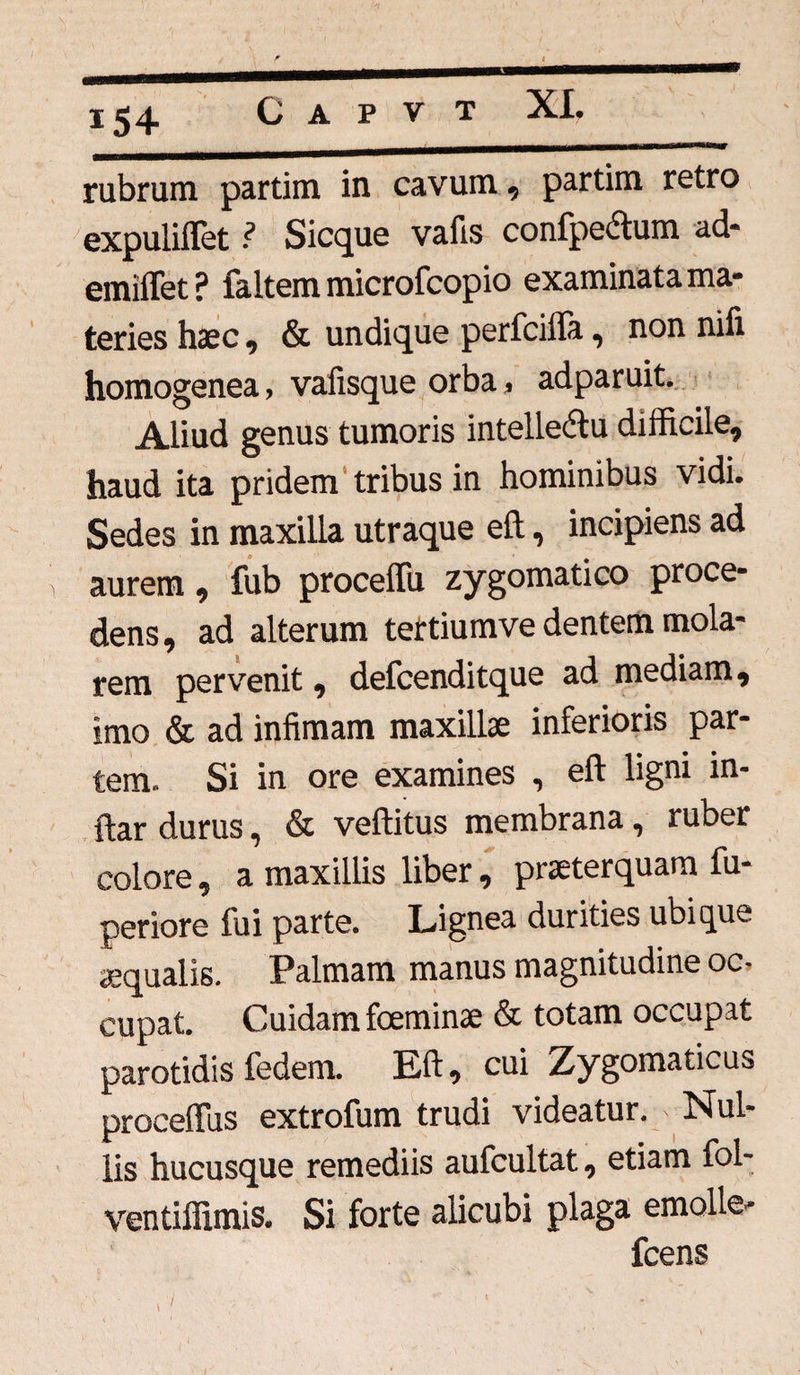 rubrum partim in cavum, partim retro expuliffet ? Sicque vafts confpectum ad- emiffet? faltem microfcopio examinata ma¬ teries haec, & undique perfcifla, non nili homogenea, vafisque orba, adparuit. Aliud genus tumoris intellectu difficile, haud ita pridem tribus in hominibus vidi. Sedes in maxilla utraque eft, incipiens ad aurem, fub proceffu zygomatico proce¬ dens, ad alterum tertiumve dentem mola¬ rem pervenit, defcenditque ad mediam, imo & ad infimam maxillae inferioris par¬ tem. Si in ore examines , eft ligni in- ftar durus, & veftitus membrana, ruber colore, a maxillis liber, praeterquam fu- periore fui parte. Lignea durities ubique aequalis. Palmam manus magnitudine oc¬ cupat. Cuidam foeminae & totam occupat parotidis fedem. Eft, cui Zygomaticus proceffiis extrofum trudi videatur. Nul¬ lis hucusque remediis aufcultat, etiam fol- ventiffimis. Si forte alicubi plaga emolle- fcens