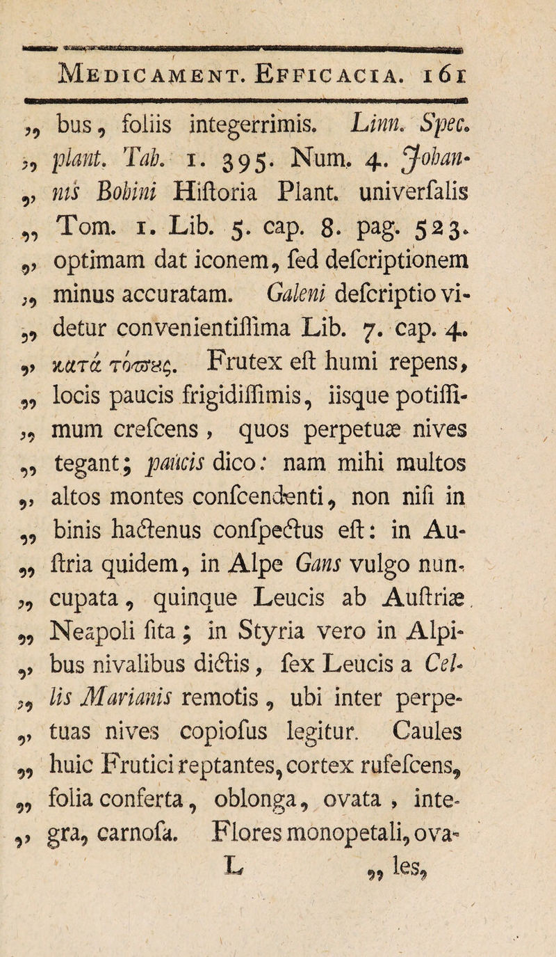 ,, bus, foliis integerrimis. Linn. Spec. „ piant. 'Tau. i. 395. Num. 4. Johan- ,, nts Bohini Hiftoria Piant, univerfalis ,, Tom. 1. Lib. 5. cap. 8. pag. 523. ,, optimam dat iconem, fed defcriptionem :•> minus accuratam. Galeni defcriptio vi- ,, detur convenientiffima Lib. 7. cap. 4. ,, nara Tomo;. Frutex eft humi repens, ,, locis paucis frigidiflimis, iisque potiffi- ,, mum crefcens , quos perpetuae nives tegant; paucis dico: nam mihi multos altos montes confcendenti, non nifi in binis hactenus confpeftus eft: in Au- ,, ftria quidem, in Alpe Gans vulgo nun-. ,, cupata, quinque Leucis ab Auftriae. ,, Neapoli fita ; in Styria vero in Alpi- ,, bus nivalibus dicftis, fex Leucis a CeU ,, lis Marianis remotis , ubi inter perpe- ,, tuas nives copiofus legitur. Caules ,, huic Frutici reptantes, cortex rufefcens, „ folia conferta, oblonga, ovata , inte- ,, gra, carnofa. Flores monopetali, ova- L 9? les.