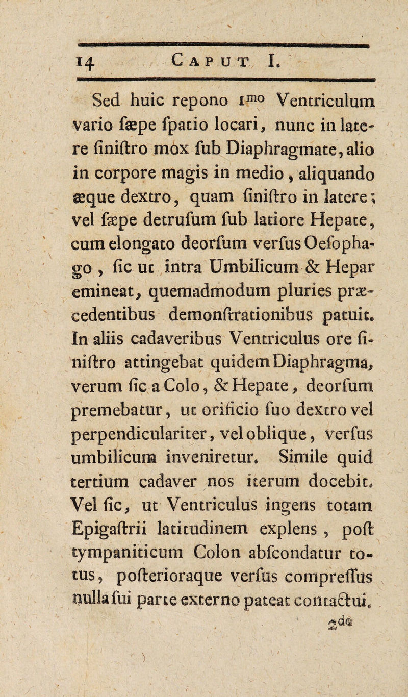 Sed huic repono imo Ventriculum vario faepe fpacio locari, nunc in late¬ re finiftro mox fub Diaphragmate, alio in corpore magis in medio, aliquando aeque dextro, quam finiftro in latere; vel faepe detrufum fub latiore Hepate, cum elongato deorfum verfus Oefopha- go , fic uc intra Umbilicum & Hepar emineat, quemadmodum pluries prae¬ cedentibus demonftrationibus patuit. In aliis cadaveribus Ventriculus ore fi¬ niftro attingebat quidem Diaphragma, verum fic a Colo, & Hepate, deorfum premebatur, ut orificio fuo dextro vel perpendiculariter, vel oblique, verfus umbilicum inveniretur. Simile quid tertium cadaver nos iterum docebit. Vel fic, ut Ventriculus ingens totam Epigaftrii latitudinem explens , poft tympaniticum Golon abfcondatur to¬ tus, pofterioraque verfus comprefliis nulla fui parte externo pateat contactui. 2»cUSi ) i \