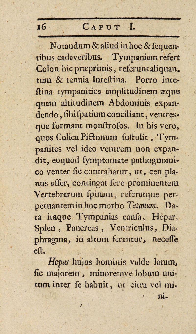 Notandum & aliud in hoc & lequen- tibus cadaveribus. Tympaniam refert Colon hic prseprimis, referuntaliquan. tum & tenuia Inteftina. Porro inte- ftina tympanitica amplitudinem aeque quam altitudinem Abdominis expan¬ dendo , fibifpatium conciliant, ventres¬ que formant monftrofos. In his vero, quos Colica Piftonuin fuftulit, Tym¬ panites vel ideo ventrem non expan¬ dit, eoquod fymptomate pathognomi- co venter fic contrahatur, ut, ceu pla¬ nus affer, contingat fere prominentem Vertebrarum fpinam, referatque per¬ petuantem in hoc morbo Tetanum, Da¬ ta itaque Tympanias caufa, Hepar, Splen , Pancreas , Ventriculus, Dia¬ phragma, in altum ferantur, neceffe eft. , * ,, Hepar hujus hominis valde latum, fic majorem , minoremve lobum uni¬ tum inter fe habuit, ut citra vel mi- * nu (