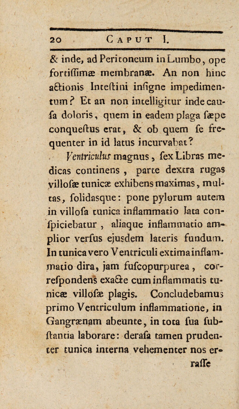 / 20 Caput I. & inde, ad Peritoneum inLumbo, ope fortiflimte membranae. An non hinc aftionis Inteftini infigne impedimen¬ tum? Et an non incelligitur indecau- fa doloris, quem in eadem plaga faepe * conqueftus erat, & ob quem fe fre¬ quenter in id latus incurvabat? Ventriculus magnus, fex Libras me¬ dicas continens , parte dextra rugas yillofas tunicae exhibens maximas, mul¬ tas, folidasque: pone pylorum autem in villofa tunica inflammatio lata con- fpiciebatur , aliaque inflammatio am¬ plior verfus ejusdem lateris fundum. In tunica vero Ventriculi extima inflam¬ matio dira, jam fufcopurpurea, cor- refpondens exa&e cum inflammatis tu¬ nicae villofae plagis. Concludebamus primo Ventriculum inflammatione, in Gangraenam abeunte, in tota fua fub- ftantia laborare: derafa tamen pruden¬ ter tunica interna vehementer nos er» raflfc