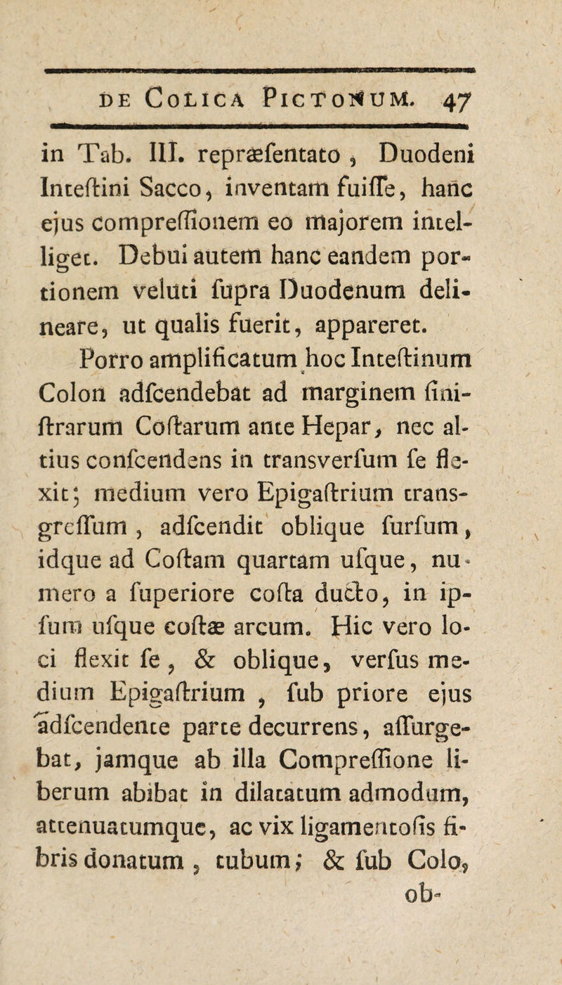 in Tab. III. repraefentato , Duodeni Intedini Sacco, inventam fuifle, hanc ejus compredionem eo majorem intel- liget. Debui autem hanc eandem por¬ tionem veluti fupra Duodenum deli¬ neare, ut qualis fuerit, appareret. Porro amplificatum hoc Intedinum Colon adfcendebat ad marginem fini- ftrarum Codarum ante Hepar, nec al¬ tius confcendens in transverfum le fle¬ xit; medium vero Epigadrium trans- greflum , adfcendit oblique furfum, idque ad Codam quartam ufque, nu¬ mero a fuperiore coda duclo, in ip- furn ufque codae arcum. Hic vero lo¬ ci flexit fe , & oblique, verfus me¬ dium Epigadrium , fub priore ejus adfcendente parte decurrens, adurge¬ bat, jamque ab illa Compreffione li¬ berum abibat in dilatatum admodum, attenuatumquc, ac vix ligamentofis fi¬ bris donatum , tubum; & fub Colo, ob-