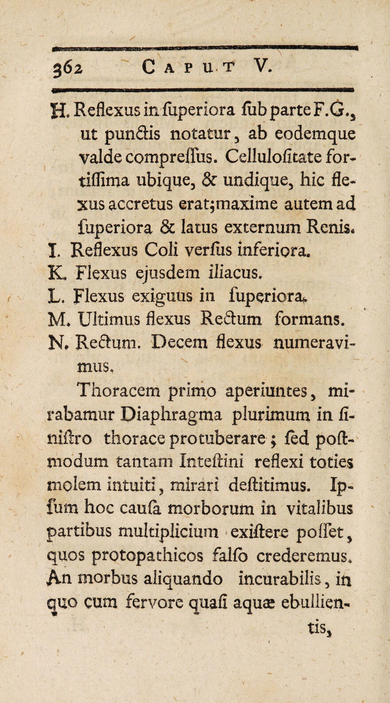 H. Reflexus in fuperiora fub parte F.G., ut punSis notatur, ab eodemque valde compreflus. Cellulofitate for- tiflima ubique, & undique, hic fle¬ xus accretus eratjmaxime autem ad fuperiora & latus externum Renis. I. Reflexus Coli verius inferiora. K, Flexus ejusdem iliacus. , v L. Flexus exiguus in fuperiora* M. Ultimus flexus Reftum formans. N. Refhjm. Decem flexus numeravi¬ mus. Thoracem primo aperiuntes, mi¬ rabamur Diaphragma plurimum in ii- niftro thorace protuberare ; ied poft- modum tantam Inteftini reflexi toties molem intuiti, mirari deftitimus. Ip- fum hoc caula morborum in vitalibus partibus multiplicium exiftere polfet, quos protopathicos falfo crederemus. An morbus aliquando incurabilis, in quo cum fervore quafi aqute ebullien¬ tis.