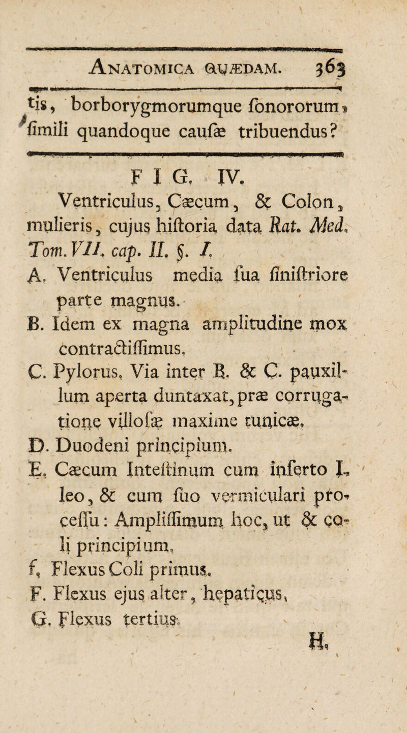 t tis, borborygmorumque fonororum» fimili quandoque caufae tribuendus? F X G. IV. Ventriculus, Caecum, & Colon, mulieris, cujus hiftoria data Rat. Mei, Tom. VII, cap. 11. §. /. A. Ventriculus media fua flniftriore parte magnus.- B. Idem ex magna amplitudine mox contradidimus. • C. Pylorus, Via inter B. & C- pauxil¬ lum aperta duntaxat, prae corruga-, tiope villofe maxime tunicae, D. Duodeni principium. E. Caecum Inteftinum cum inferto J, leo, & cum fuo vermiculari pro- c e Ilii: Ampliffimum hoc, ut 8c co¬ li principium. f. Flexus Coli primus, F. Flexus ejus alter, hepaticus, G. Flexus tertius-- H, /