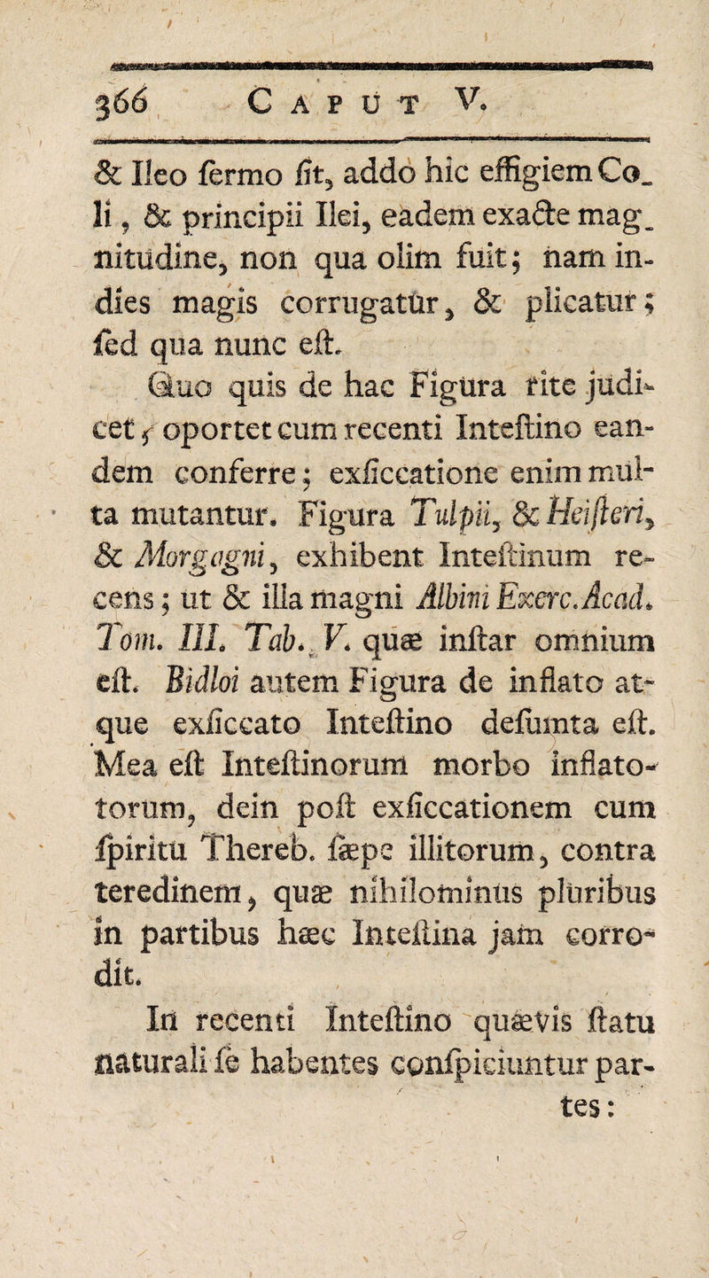 r 366 Caput V. ii«>tiwiiw ■ ■wwniftii n I ■■ !■■■■■■»- *II•mmtmnmi m*m •tmmmumtmmmmmmti ■ >i > i i & Ileo fermo fit, addo hic effigiem Co_ Ii, 8c principii Ilei, eadem exafte mag. nitudine, non qua olim fuit; nam in- dies magis corrugatur, & plicatur; led qua nunc eft. Ciuo quis de hac Figtrra rite judi¬ cet 5 oportet cum. recenti Inteftino ean¬ dem conferre; exficcatione enim mul¬ ta mutantur. Figura Tulpii, 8c Hei fi eri, Sc Morgagni, exhibent Inteftinum re¬ cens ; ut & ilia magni Albini Excrc.Acad. Tom. IU. Tab.. V. quae inftar omnium eft. Bidloi autem Figura de inflato at¬ que exiiccato Inteftino defumta eft. Mea eft Inteftinorum morbo inflato- torum, dein poft exficcationem cum fpiritu Thereb. fepe illitorum, contra teredinem, quae nihilominus pluribus in partibus hsec Inteftina jam corro¬ dit. In recenti Inteftino quaevis ftatu naturali & habentes conlpiciuntur par¬ tes : v i - ■ V ' ' /