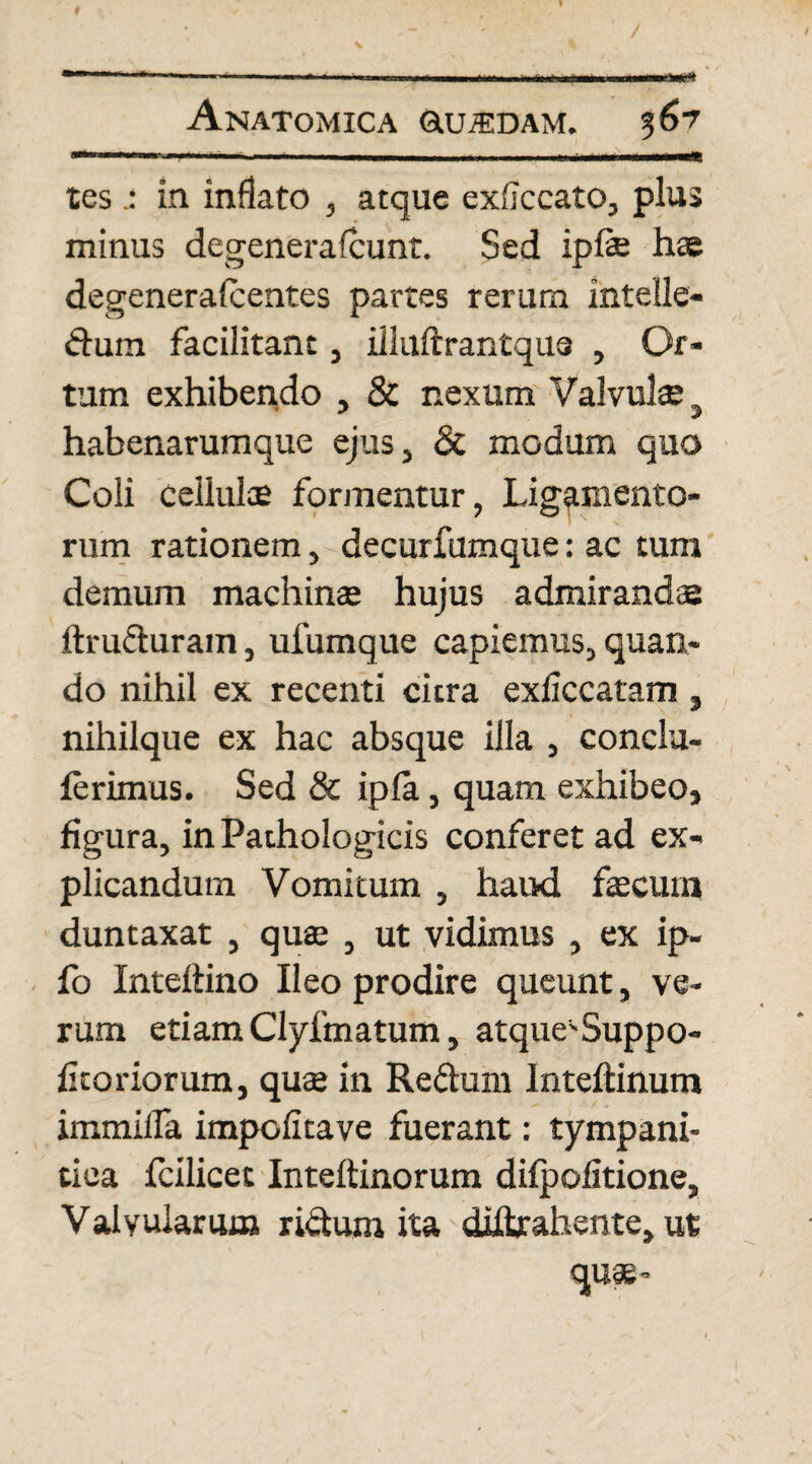 . — -- I — niiiw I_r r -n- - ■ TT—l rri“<B tes in inflato , atque exflccato, plus minus degenera (eunt. Sed ipfae has degenerafcentes partes rerum intelle¬ ctum facilitant, illuftrantqus , Or¬ tum exhibendo , & nexum Valvulae ^ habenarumque ejus, & modum quo Coli cellulas formentur, Ligamento¬ rum rationem, decurfumque: ac tum demum machinas hujus admirandae ftru&uram, ufumque capiemus, quan¬ do nihil ex recenti citra exliccatam, nihilque ex hac absque illa , conclu- ferimus. Sed & ipla, quam exhibeo, figura, in Pathologicis conferet ad ex¬ plicandum Vomitum , haud fecum duntaxat , quae , ut vidimus , ex ip- fo Inteltino Ileo prodire queunt, ve¬ rum etiam Clyfmatum, atque-Suppo- fitoriorum, quae in Reftum Inteftinum immiifa impolita ve fuerant: tympani¬ tica Icilicet Inteftinorum difpofitione, Valvularum ri&um ita diftrahente, ut quae-