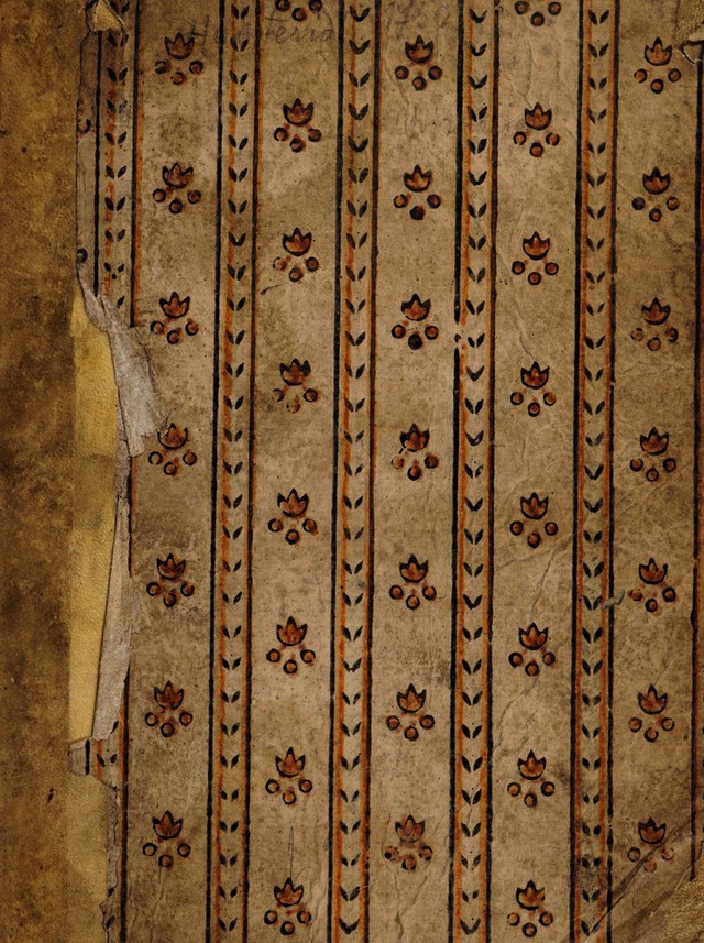 No text description is available for this image