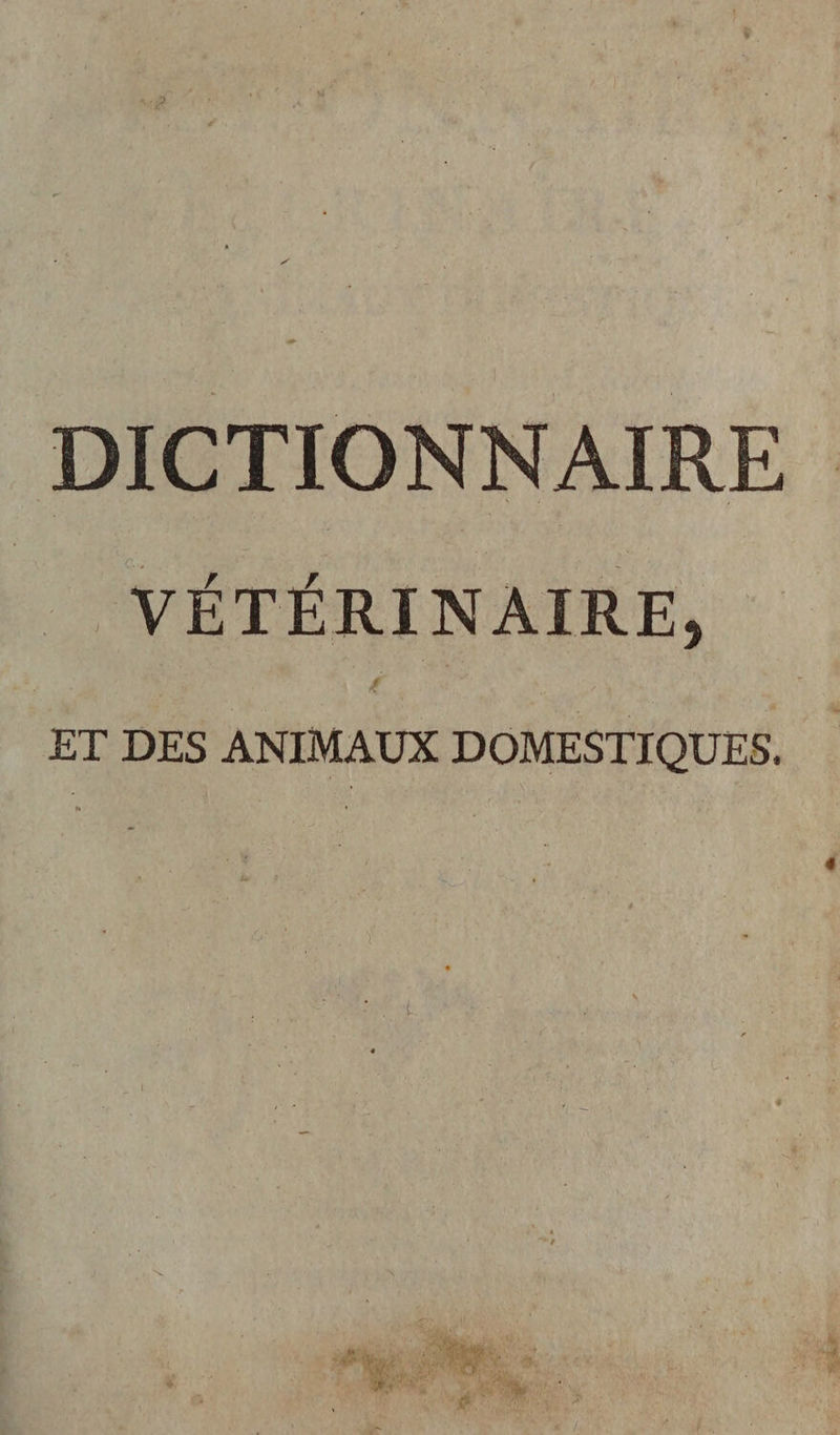 DICTIONNAIRE _ VÉTÉRINAIRE, ET DES ANIMAUX DOMESTIQUES. j “di Gus À | : 4