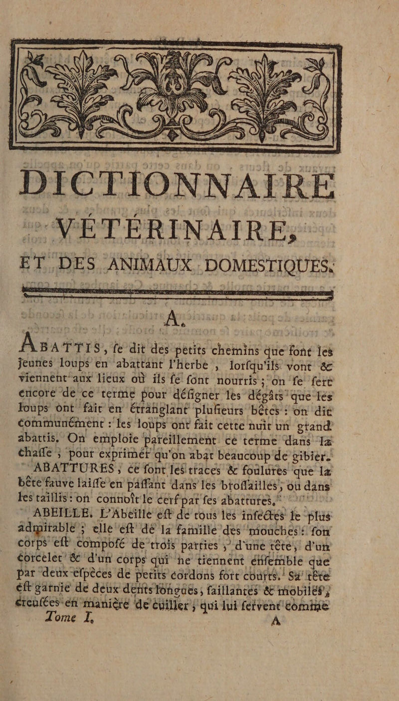 &gt; VÉTÉRINAIRE, ET DES ANIMAUX DOMESTIQUES. A. | As ATTIS, fe dit des petits chemins que font les communément : les loups ont fait cette nuit un gtand’ abattis, On emploie bareillement cé terme dans 1x thafle ; pour exprimér qu'on abat beaucoup de gibier. _ 7 ABATTURES; ce font JeSriaces &amp; foulures que læ bête fauve laiffe en paffant dans les btoffaillés, ou dans les taillis: oh connoîrle cerf par fes abattures,® 7 ABEILLE, L'Abeille ef de rous les infectés le plus admitablé ; elle eft 46 1a farnille des mouches: fon corps efl compofé de trois parties ; d'une tête, d'un corceler’&amp; d'un corps qui he tiennent éffemble qe par deux efpèces de petits cordons fort coutts.! Sa’ tête éft garnie de deux dents fongues; faillantes &amp; mobile?) ercufées en manière de éviller ) qui lui fétvent Eomine _ Tome I, À