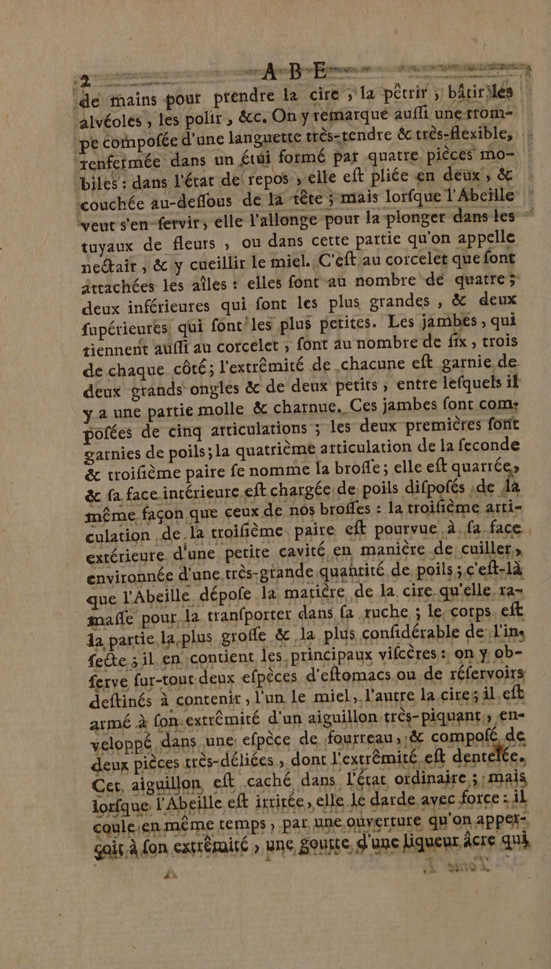 (dé tains pour prendre la cire ; la pécrir ; bâcirMés alvéoles , les polir , &amp;c. On y remarqué auffi unettom- pe cofnpofée d’une langnette très-rendre éc très-flexible, enfetmée dans un étui formé pat quatre pièces mo- Diles : dans l'état del repos ; elle eft pliée en deux, &amp; à M diem | er A B “Er 7 PR DE A TNT w ru # couchée au-deflous de la tête ; mais lorfque l' Abeïlle * veut s'en-fervir, elle l’allonge pour la plonger dans les * tuyaux de fleurs , ou dans cette pattie qu'on appelle nectait , &amp; y cueillir le miel. C'eft au corcelet que font itrachées les aîles : elles font au nombre dé quatre; deux inférieures qui font les plus grandes , &amp;c deux fupérieures, qui font/les plus petites. Les jambes ; qui tiennent aufli au corcelet ; font au nombre de fix, trois de chaque côté; l'extrémité de chacune eft garnie de deux grands ongles &amp; de deux petits, entre lefquels il y 2 une partie molle &amp; chatnue. Ces jambes font com: pofées de cinq articulations 5 les deux premières fort garnies de poils; la quatrième articulation de la feconde &amp; troifième paire fe nomme la brofle ; elle eft quarrée» &amp;c fa face intérieure eft chargée de poils difpofés :de da même façon que ceux de nôs broffes : la troifième arti= culation de la troifième. paire eft pourvue à. fa face extérieure d'une petite cavité en manière de cuiller» environnée d'une. très-grande quantité de. poils ;.ç'eft-1à que l'Abeille dépofe la matière de la. cire qu'elle ra= mafle pour, la tranfporter dans fa ruche ; le-corps, eft da partie la.plus grofle &amp; la plus confidérable de; l'ins feête 5 il en contient les. principaux vifcères : on y, ob- ferve fur-tout deux efpèces d'eftomacs.ou de réfervoirs deftinés à contenir , l'un Le miel, l'autre la citeÿ il,eft armé à fon.extrémité d'un aiguillon très-piquant,; en veloppé dans une efpèce de fourreau 18e compoé de deux pièces très-déliées » dont l'extrémité. eft dentelée. Cet, aiguillon eft caché dans, lL'érat ordinaire ; mais lorfque l'Abeille ft irrirée, elle. Le darde avec force : il coule en même temps » Par HE-OUvErtUTE qu'on APP gair.à don exprégaité » une, ousre, d'une liqueur âcre qui \ “ ta À Len à 4 (À AS A