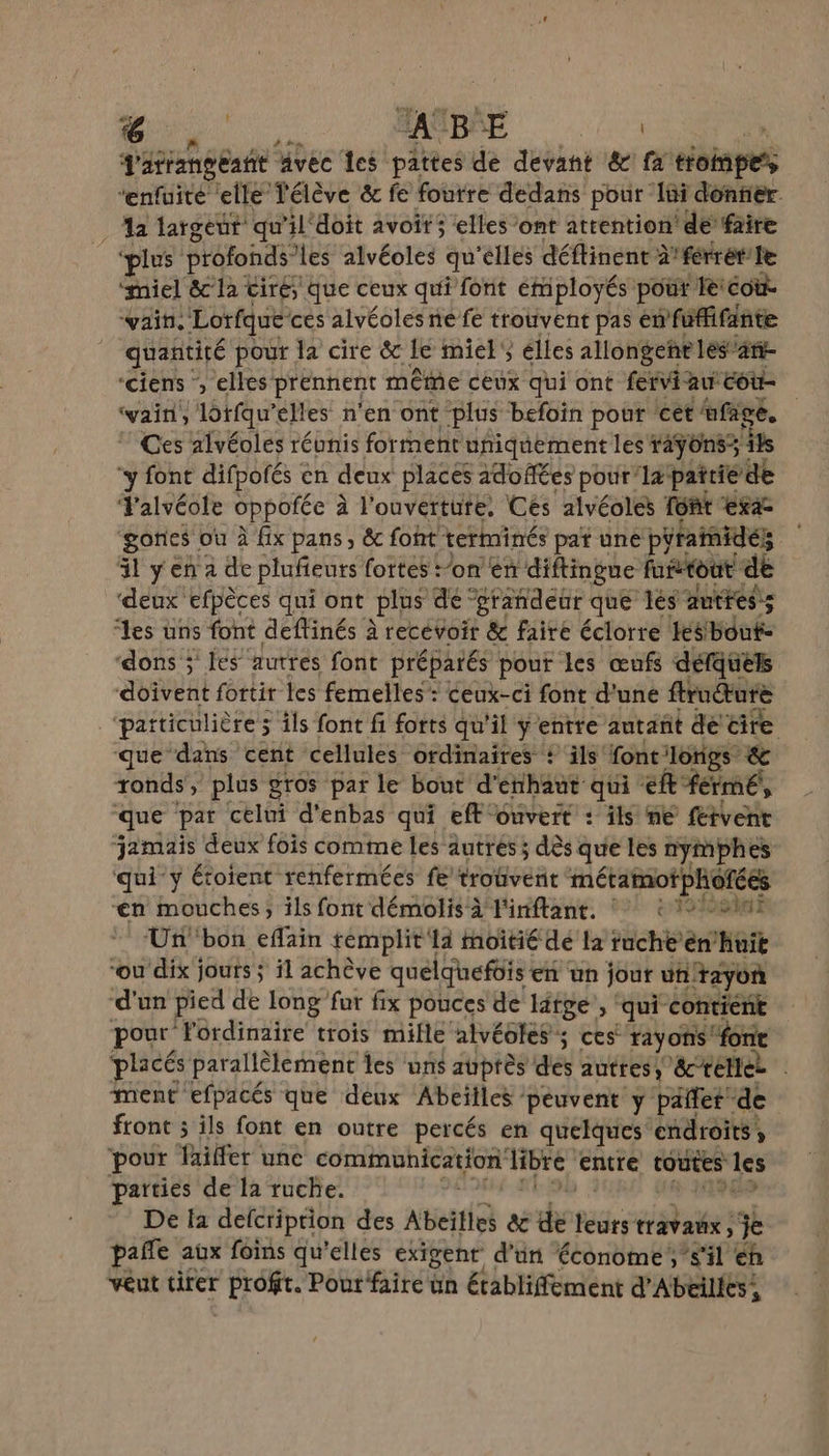 ‘6 NT pee SABRE d'atrangeant avec les pattes de devant &amp; fa Hoiapes “enfuité elle l'élève &amp; fe foutre dedans pour Ii donfier a largeut qu ‘il‘doit avoit ; elles ‘ont attention! de faire ‘plus profonds les alvéoles qu'elles déftinent à'férrét’Le miel &amp;c la tirés que ceux qui font émiployés pour Ieicoue vain. Lorfque cés alvéoles ne fe trouvent pas en fuffifante quantité pour la cire &amp; lé miel} élles 1llongene les ‘an ‘ciens ‘, elles prennent même ceux qui ont fervi au cote ‘vain, lotfqu’elles n'en ont plus befoin pour ‘ét tfage. Ces alvéoles réunis forment uniquement les *4ÿOns : ils ‘y font difpofés en deux places 2doffes pour'lapattiéde Yalvéole oppofée à à l'ouverture, Ces alvéoles font exa- ‘gories où à fix pans , &amp; foht terminés pa une pyraidé; il yen a de plufñieurs fortes :’on en diftingue furtout de ‘deux efpèces qui ont plus dé “grandeur que les autres; ‘les üns font deflinés à recevoir &amp; faire éclorre Hesbout- ‘dons ; les autres font préparés pour les œufs défquels doivent fortir les femelles: ceux-ci font d'une flrnure ‘particulière ; ils font fi forts qu'il ÿ'entre autañt de cire que dans cent cellules ordinaires + ils font longs &amp; ronds, plus gros par le bout d'enihaut qui ft fermé, que par celui d'enbas qui eff ouvert : ils ne fervent jamais deux fois comme les autres ; dès que les nymphes qui’y étoient renfermées fe’ trouvent métamoftphofées n mouches; ils font démolis à l'inftant, * © 1/00mI Un bon effain remplit {4 moitié dé la fuche’en’huit “ou dix jouts ; il achève quélqhefüis en un jour un rayon d'un pied de long far fx pouces de large, ‘qui contient pour Fordinaire trois mille alvéoles; ces: rayons font placés parallèlement les uns auprès des autres) telle | ment efpacés que deux Abeilles peuvent y pañlet de front ; ils font en outre percés en quelques endroits , pour laiffer une communication HETE entre toutes les parties de la ruche. vs De fa defcription des Abeities &amp; de leurs travaux , je pañle aux foins qu'elles exigent d'un économe ,’s'il eh veut tirer P'RRONEe Pour faire ün établiffément d’Abeilles,