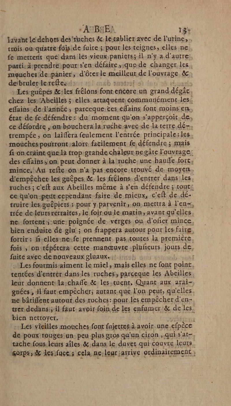 * AUBGEA 18+ Javaht Le dehots des'ruches &amp;c letablier avec de l'urine, . trois oùrquatre fôiside fuire ; pour les teignes, elles ne fe merterr qué dans les vieux;paniets; il n'y a d'autre: pastis dprendre pour s'en défaire,.que.de changer les meuchesidespanier, d'ôrerle meilleur de l'ouvrage &amp; deïbruler lereftes faut 468 entb tastrgt so) à ebugris :Les-guêpes &amp;iles frêlons font.encore un grand dégât chez: less !Abeilles 3 elles attaquent; commuriément, les. effains derl'annéé, parceque;ces effains font moins en. état de fe-défendre: du’ moment-qu'ons’apperçoit.de,, ce défordre ;ombouchera la ruche avec-de la terre dé-. trempée, on laiflera feulement l'entrée principale:les. : moùchespoutront :alors. facilement fe, défendre ; mais fon crâintque:la trop-grande chaleur ne gate l'ouvrage: des éflainss on. peut donner à la ruche. une haufle fort, mince. Au refte:on n’a pas encore trouvé. de. moyen. d'empêcher les guêpes &amp;, les frêlens, d'entrer dans les tuches ; c'eft aux Abeilles même à s'en défendre ; tout: ce qu'on-peritcependant faire de mieux, c'eft de dé- truire les guêpiers: pour y parvenir, on, mettra à l'en+, trée deleursrécraites, le foir.oule matin, avant qu'elles ne: fortents-une: poignée de. vérges ou d'ofier mince, bien lenduite dé glu'; on frappera autour pour les faite fottir: f-ellesineuife prennent, pas. toutes la première, fois , on-répétera cette manœuvre -pluñeurs. jours de, fuité avec de nouveaux gluaux. | | Les fonrmisaiment le miel, mais elles ne font point. tentées d'entrér danses ruches, parceque les Abeilles. leut donnent- la:chafle, &amp; les-tuent, Quant aux arai- gnées , 41 faut empêcher, autant.que l'on peut, qu'elles. ne bâtifent autour des ruches: pour les empêcher d'en- trer dedansiyil faut avoir-foin.de les enfumer &amp; de les. bien nettoyer. pers - Lés vieilles mouches.font fujetres à avoir une.efpèce de poux rouges un. peu plus gros qu'un ciron , qui s'at-. tache fous leurs aîles &amp;,dans Le duvet qui couvre leuts. gorps; &amp; les fuce.; cela ne-leuriarrive ordinairement :