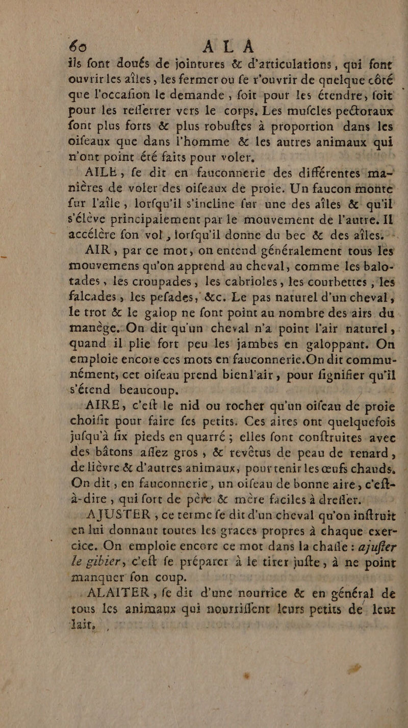 ils font doués de jointures & d’atticulations, qui font ouvrir les aîles , les fermer ou fe r'ouvrir de quelque côté que l'occafon le demande, foit pout les étendre, foit pour les reflerrer vers le corps, Les mufcles peétoraux font plus forts & plus robuftes à proportion dans les oifeaux que dans l'homme & les autres animaux qui n'ont point été faits pour voler. AILE , fe dit en fauconnerie des différentes ma-— nières de voler des oifeaux de proie. Un faucon monte fur l'aîle, lorfqu'il s'incline far une des aîles & qu'il s'élève principalement par le mouvement de l'autre. IL accélère fon vol , lorfqu'il donne du bec & des aîles: AIR , par ce mot, on entend généralement tous les mouvemens qu'on apprend au cheval, comme les balo- tades , Les croupades, les cabrioles, les courbéttes ;‘les falcades, les pefades, &c. Le pas naturel d'un cheval, le trot & le galop ne font point au nombre des airs du manège. On dit qu'un cheval n’a point l'air naturel, quand il plie fort peu les jambes en galoppant. On emploie encore ces mots en fauconnerie.On dit commu- nément, cet oifeau prend bienl'air, pour fignifer je il s'étend beaucoup. AIRE, c’eit le nid ou rocher qu'un oifean de praié choifit pour faire fes petits. Ces aires ont quelquefois jufqu'à fix pieds en quarré; elles font conftruites avec des bâtons aflez gros ; & revêtus de peau de renard, de lièvre & d'autres animaux, pour tenir les œufs cata On dit, en fauconnerie, un oifeau de bonne aire, c’eft- à-dire , qui fort de père & mère faciles à drefler. À JUSTER , ce terme fe dit d'un cheval qu'on inftruit : cn lui donnant toutes les graces propres à chaque exer- cice. On emploie encore ce mot dans la chañe : ajufier le gibrer, c'eft fe préparer à le tirer jufte, à ne point manquer fon coup. -ALAITER ; fe dit d'une noutrice & en général de tous les animaux qui nourriffenr leurs petits de leur dait, ,