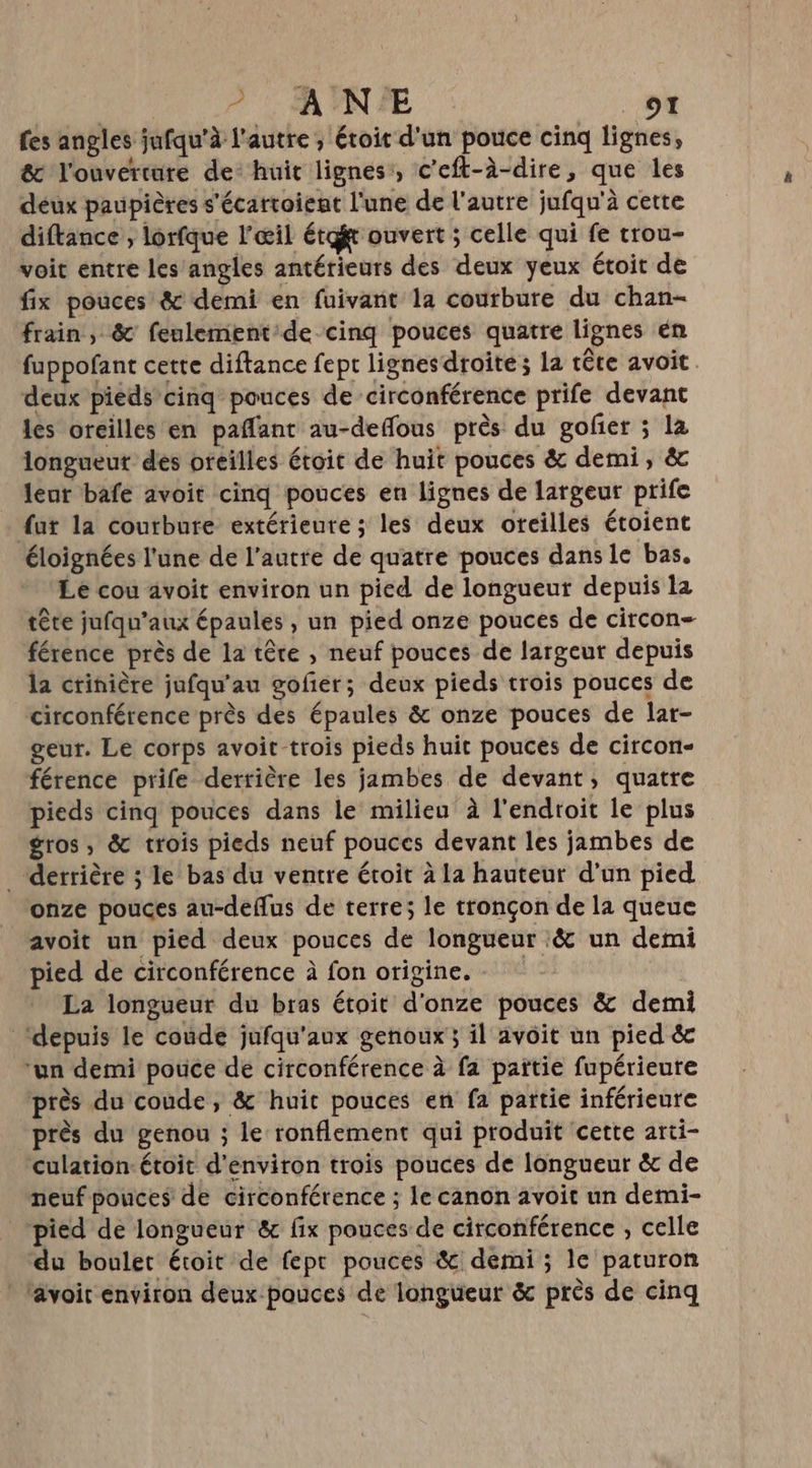 ? ANNE CL fes angles jufqu'à l’autre , étoit d'un pouce cinq lignes, & l'ouverture de: huit lignes, c’eft-à-dire, que les deux paupières s'écartoient l'une de l'autre jufqu'à cette diftance , lorfque l'œil étgf ouvert ; celle qui fe trou- voit entre les angles antérieurs des deux yeux étoit de fix pouces & demi en fuivant la courbure du chan- frain, & feulement:de cinq pouces quatre lignes en fuppofant cette diftance fept lignesdroite; la tête avoit deux pieds cinq pouces de circonférence prife devant les oreilles en paflant au-deffous près du gofer ; la longueut des oreilles étoit de huit pouces & demi, & leur bafe avoit cinq pouces en lignes de largeur prife fut la courbure extérieure ; les deux oreilles étoient éloignées l'une de l’autre de quatre pouces dans le bas, Le cou avoit environ un pied de longueur depuis la tête jufqu’aux épaules, un pied onze pouces de circon- férence près de la tête , neuf pouces de largeur depuis la ctinière jufqu'’au gofér; deux pieds trois pouces de circonférence près des épaules & onze pouces de lar- geur. Le corps avoit trois pieds huit pouces de circon- férence prife derrière les jambes de devant, quatre pieds cinq pouces dans le milieu à l'endroit le plus gros , & trois pieds neuf pouces devant les jambes de derrière ; le bas du ventre étoit à la hauteur d’un pied onze pouces au-deflus de terre; le tronçon de la queue avoit un pied deux pouces de longueur :& un demi pied de circonférence à fon origine. La longueur du bras étoit d'onze pouces & demi depuis le coùde jufqu'aux genoux ; il avoit un pied & ‘un demi pouce de circonférence à fa pattie fupérieure près du coude, & huit pouces en fa partie inférieure près du genou ; le ronflement qui produit cette arti- culation: étoit d'environ trois pouces de longueur & de neuf pouces de circonférence ; le canon avoit un demi- pied de longueur & fix pouces de circonférence , celle du boulet étoit de fept pouces & demi; le paturon * lavoir environ deux pouces de longueur & près de cinq