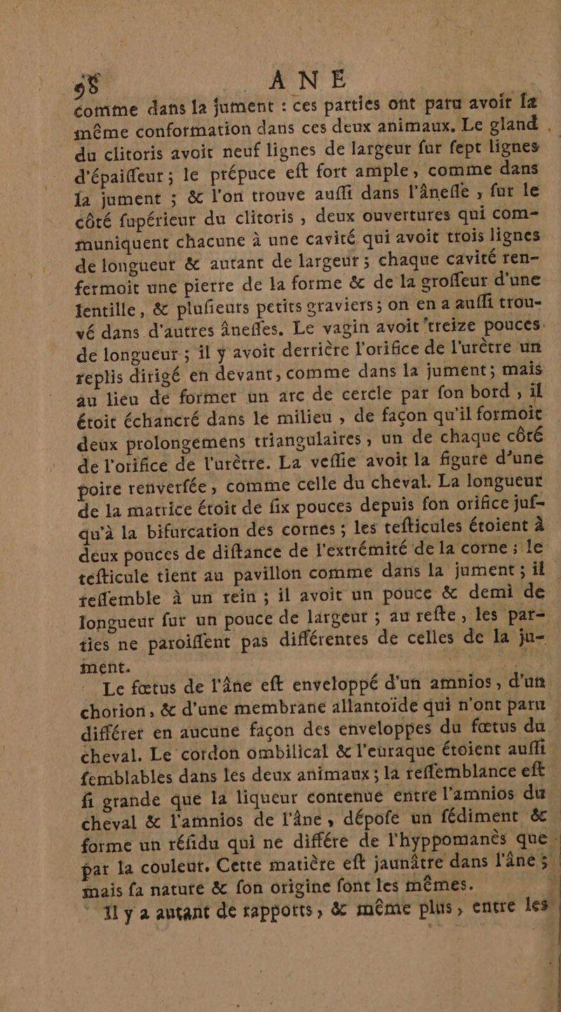 Re NÉ éomme dans la jument : ces patties ont pat avoit fæ même conformation dans ces deux animaux. Le gland du clitoris avoit neuf lignes de largeur fur fept lignes d'épaifeur ; le prépuce eft fort ample, comme dans fa jument ; &amp; l'on trouve auffi dans l’ânefñle , fur le côté fupérieur du clitoris , deux ouvertures qui com muniquent chacune à une cavité qui avoit trois lignes de longueut &amp; autant de largeur; chaque cavité ren- fermoit une pierre de la forme &amp; de la groffeur d'une tentille, &amp; plufieuts petits graviers; on ena auf trou- de longueur ; il ÿ avoit derrière l'orifice de l'urètre un replis dirigé en devant, comme dans la jument; mais au lieu de former nn arc de cercle par fon bord , il étoit échancré dans lé milieu , de façon qu'il formoit deux prolongemens triangulaires, un de chaque côté dé l'orifice de l'urêtre. La veflie avoit la figure d’une poire renvérfée, comme celle du cheval. La longueur de la matrice étoit de fix pouces depuis fon orifice juf- qu’à la bifurcation des cornes ; les tefticules étoient à deux pouces de diftance de l'extrémité de la corne ; le tefemble à un rein ; il avoit un pouce &amp; demi de longueur fur un pouce de largeur ; au refte, les pat- fies ne paroïffent pas différentes de celles de la ju ment. | | AN ANR Le fœtus de l'Âne eft enveloppé d'un amnios, d'un chorion, &amp; d’une membrane allantoïde qui n'ont patn cheval. Le cordon ombilical &amp; l'euraque étoient aufli fi grande que la liqueur contente entre l'amnios du cheval &amp; l'amnios de l'âne, dépofe un fédiment és mais fa natuté &amp; fon origine font les mêmes.