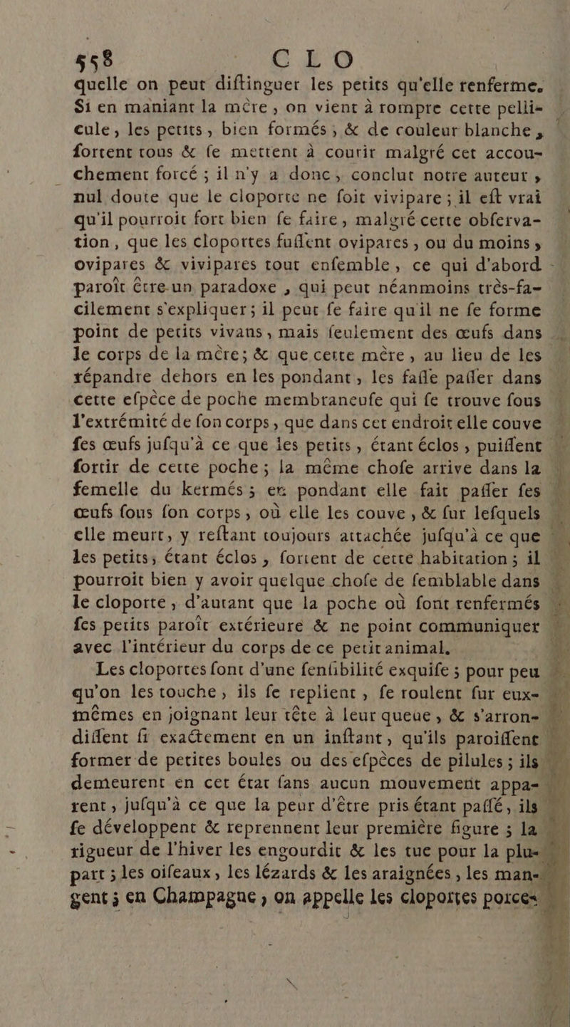 quelle on peut diftinguer les petits qu'elle renferme. Si en maniant la mère , on vient à rompre cette pelli- cule, les petits, bien formés , & de couleur blanche, fortent tous & fe mettent à courir malgré cet accou- chement forcé ; il n'y a donc, conclut notre auteut ; nul doute que le cloporte ne foit vivipare ; il eft vrai qu'il pourroit fort bien fe faire, malvré certe obferva- tion, que les cloportes fuflent ovipares , ou du moins; ovipaies & vivipares tout enfemble, ce qui d'abord - paroït étre un paradoxe , qui peut néanmoins très-fa= cilement s'expliquer; il peut fe faire qu'il ne fe forme point de petits vivans , mais feulement des œufs dans » le corps de la mère; & que certe mère, au lieu de les répandre dehors en les pondant, les fafle pañler dans cette efpèce de poche membraneufe qui fe trouve fous l'extrémité de fon corps, que dans cet endroit elle couve fes œufs jufqu'à ce que les petits, étant éclos , puiffent fortir de cette poche ; la même chofe arrive dans la | femelle du kermés ; ec pondant elle fait pañler fes œufs {ous fon corps, où elle les couve , & fur lefquels P 4 clle meurt, y reftant toujours attachée jufqu'à ce que M les petits, étant éclos , fortent de cetté habitation; il. pourroit bien y avoir quelque chofe de femblable dans le cloporte, d'autant que la poche où font renfermés {cs petits paroît extérieure & ne point communiquer avec l'intérieur du corps de ce petit animal. p: Les cloportes font d’une fenlibilité exquife ; pour peu qu'on les touche, ils fe replient , fe roulent fur eux- mêmes en joignant leur tête à leur queue, & s’arron- difent fi exaétement en un inftant, qu'ils paroïiffent former de petites boules ou des efpèces de pilules ; ils demeurent en cet état fans aucun mouvement 2ppa= rent, jufqu’à ce que la peur d’être pris étant paflé, ils fe développent & reprennent leur première figure ; la Ei rigueur de l'hiver les engourdit & les tue pour la see part ; les oifeaux, les lézards & les araignées , les man, gent ; en Champagne , on appelle les cloportes porces.