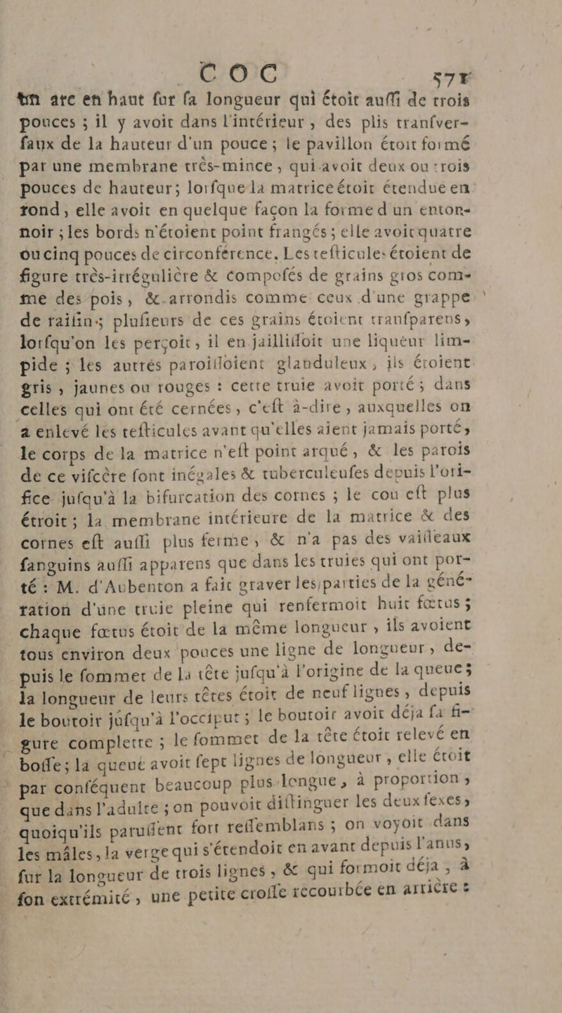tn ate en haut fur fa longueur qui étoit auf de Aie pouces ; il y avoit dans l'intérieur , des plis tranfver- faux de la hauteur d'un pouce; le pavillon étroit formé par une membrane très-mince , qui avoit deux ou :rois pouces de hauteur; lorfquela matrice étoir étendue en rond, elle avoit en quelque façon la forme d un entor- noir ; les bords n'étoient point frangés ; elle avoicquatre oucinq pouces de circonférence, Les refticule: éroient de figure très-irrégulière &amp; Compofés de grains gros com me des pois, &amp;.arrondis comme ceux d'une grappe de raifins plufieurs de ces grains éroient tranfparens; lorfqu'on les perçoit, il en jaillifloit une liqueur lim- pide ; les autrés paroifloient glanduleux, ils éroient gris , jaunes ou rouges : Cette truie avoit porté; dans celles qui ont été cernées, c'eft à-dire, auxquelles on a enlevé lés refticules avant qu'elles aient jamais porté) le corps de la matrice n'eft point arqué, &amp; les parois de ce vifcère font inévales &amp; tuberculeufes depuis l'ori- fice jufqu'à la bifurcation des cornes ; le cou eft plus étroit ; la membrane intérieure de la matrice &amp; des cornes eft auili plus ferme, &amp; n'a pas des vailieaux fanguins aufli apparens que dans les truies qui ont pot- té: M. d'Aubenton a fait graver lesiparties de la géné- tation d'une cruie pleine qui renfermoit huit fœtus; chaque fœtus étoir de la même longueur ; ils avoient tous environ deux pouces une ligne de longueur, de- puis le fommer de la 1ête jufqu'à l'origine de la queue; la longueur de leurs têres étoit de neuflignes » depuis le boutoir jufqu'à l'occiput ; le boutoir avoit déja fa #- _gure complete ; le fommet de la tête étoit relevé en boe ; la queué avoit fept lignes de longueur , elle éroit par conféquent beaucoup plus-lengue ; à proportion ; que dans l'adulte ; on pouvoit diftinguer les deuxfexes» quoiqu'ils paruent fort reflemblans ; on voyoit dans les mâles, la verge qui s'étendoit en avant depuis l'anus; fur la longueur de trois lignes ; &amp; qui formoit déja ; à fon extrémité, une petite crofle recourbée en arricre #