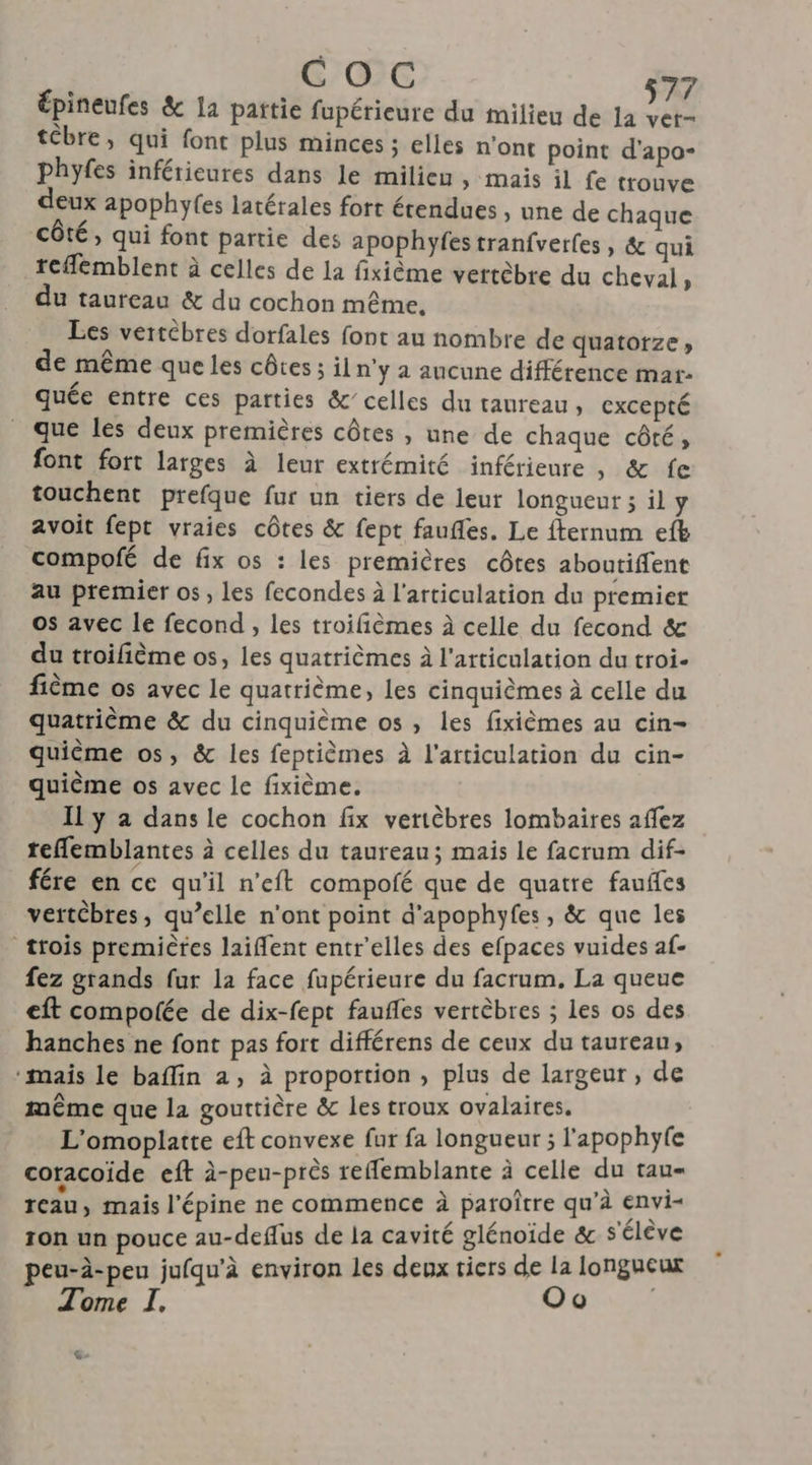 Épineufes &amp; la pattie fupérieure du milieu de 1a Ge tébre, qui font plus minces ; elles n’ont point d'apo- phyfes inférieures dans le milieu , mais il fe trouve deux apophyfes latérales fort étendues » une de chaque côté, qui font partie des apophyfes tranfverfes , &amp; qui _tefémblent à celles de la fixième vertèbre du cheval, du taureau &amp; du cochon même, Les vertèbres dorfales font au nombre de quatorze » de même que les côtes ; il n'y a aucune différence mar- quée entre ces parties &amp; celles du taureau, excepté que les deux premières côtes , une de chaque côté, font fort larges à leur extrémité inférieure , &amp; fe touchent prefque fur un tiers de leur longueur ; il y avoit fept vraies côtes &amp; fept faufles. Le fternum efb compofé de fix os : les premières côtes aboutiffent au premier os, Les fecondes à l'articulation du premier os avec le fecond , les troifièmes à celle du fecond &amp; du troifième os, les quatrièmes à l'articulation du troi- fième os avec le quatrième, les cinquièmes à celle du quatrième &amp; du cinquième os , les fixièmes au cin- quième os, &amp; les feptièmes à l'articulation du cin- quième os avec le fixième. Il y a dans le cochon fix vertèbres lombaires affez teflemblantes à celles du taureau; mais le facrum dif- fére en ce qu'il n’eft compofé que de quatre fauffes vertèbres, qu’elle n'ont point d’apophyfes, &amp; que les trois premières laiflent entr'elles des efpaces vuides af- fez grands fur la face fupérieure du facrum. La queue eft compolée de dix-fept faufles vertèbres ; les os des hanches ne font pas fort différens de ceux du taureau, ‘mais le baflin 2, à proportion , plus de largeur, de même que la gouttière &amp; les troux ovalaires. L'omoplatte eft convexe fur fa longueur ; l'apophyfe coracoïde eft à-peu-près refemblante à celle du tau- reau » mais l’épine ne commence à paroître qu À nvi ron un pouce au-deflus de la cavité glénoide &amp; s'élève peu-à-peu jufqu'à environ les deux tiers de la longueur