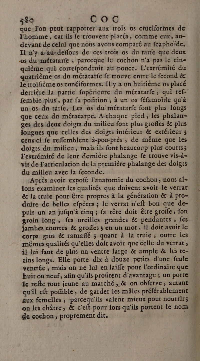 que-l'ot peut rapporter aux trois os cruciformes de l'homme, car:ils fe trouvent placés, comme eux, au- devant de celui que nous avons comparé au fcaphoide. Il n'y arau-deffous de ces trois os du tarfe que deux -os du métatarfe ; parceque le cochon n’a pas le cin quième qui correfpondroit au pouce. L'extrémité du quatrième os du métatarfe fe trouve entre le fecond &amp; le troifième os cunéiformes. Il y a un huitième os placé femble plus’, par fa pofition , à un os féfamoïde qu'à un. 0s du tärfe. Les os du métatarfe font plus longs que ceux du méracarpe. A-chaque pied, les phalan- ges des deux doigts du milieu font plus groffes &amp; plus longues que celles des doigts intérieur &amp; extérieur 3 ceux-ci fe reflemblent à-peu-près , de même que les doigts du milieu, mais ils font beaucoup plus coutts; l'extrémité de leur dernière phalange fe trouve vis-à- vis de l'articulation de la premiète phalange des doigts du milieu avec la feconde. | Après avoir expofé l'anatomie du cochon, nous al- lons examiner les qualités que doivent avoir le verrat duire de belles efpèces ; le verrat n’eft bon que de- puis un an jufqu’à cinq ; fa tête doit être grofle ; fon groin long ; fes oreilles grandes &amp; pendantes , fes jambes courtes &amp; grofles 3 en un mot, il doit avoir le corps gros &amp; ramañlé ; quant à la truie, outre les mêmes qualités qu’elles doit avoir que celle du verrat ; il lui faut de plus un ventre large &amp; ample &amp; les te- tins longs. Elle porte. dix à douze petits d'une feule ventrée ; mais on ne lui en laifle pour l'ordinaire que huit ou neuf, afin qu’ils profitent d'avantage ; on porte de refte tout jeune au marché, &amp; on obferve , autant qu'il eft poffible, de garder les mâles préférablement aux femelles, parcequ'ils valent mieux pour nourtit ; on les châtre, &amp; c’eft pour lors qu'ils portent le nom de cochon, proprement dit.