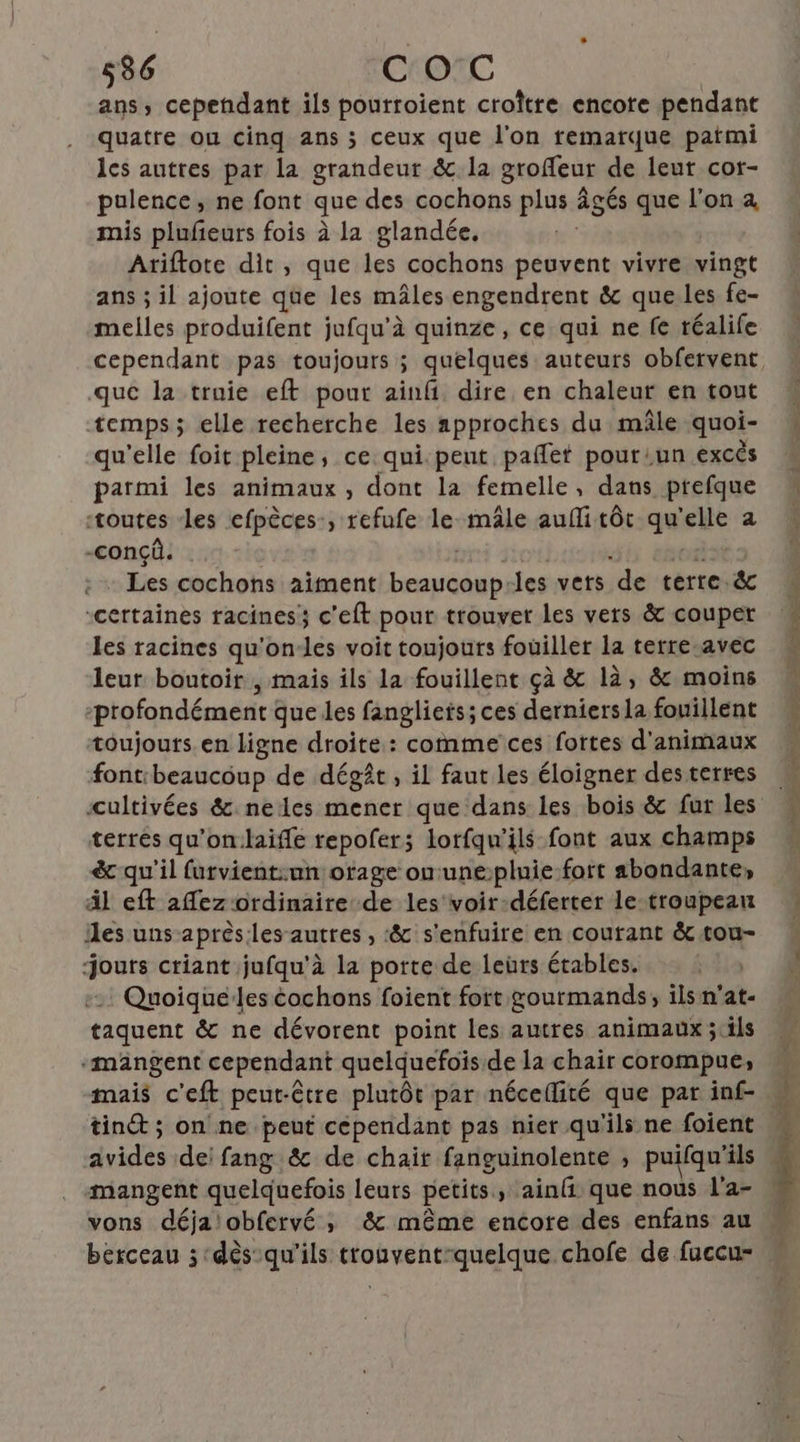 ans, cependant ils pourroient croître encore pendant quatre ou cinq ans ; ceux que l'on remarque païmi les autres par la grandeur & la groffeur de leut cor- pulence, ne font que des cochons plus âgés que l'on à mis plufeurs fois à la glandée, | Ariftote dit , que les cochons peuvent vivre vingt ans ; il ajoute que les mâles engendrent & que les fe- melles produifent jufqu'à quinze, ce qui ne fe téalife que la traie eft pour ainfi dire en chaleur en tout temps ; elle recherche les approches du mâle quoi- qu'elle foit pleine, ce qui:peut, pafñfet pouriun excés parmi les animaux , dont la femelle, dans prefque toutes es efpèces:, refufe le mâle aufli tôt de elle a -conçû. - Les cochons aiment aédio) les vers de terre & “certaines racines c'eft pour trouver les vers & couper Les racines qibvdés voit toujours fouiller la terre-avec leur boutoir , mais ils la fouillent çà & là, & moins profondément que les fanglieis; ces derniers la fouillent toujours. en ligne droite: comme ces fortes d'animaux font:beaucoup de dégît, il faut les éloigner des terres terres qu’on:laiffe repofer;s lorfqu’ils font aux champs & qu'il furvient:un otage ouune:pluie-foit abondante, äl eft affez ordinaire de les voir-déferter le-troupeau les uns-après:les autres , :& s'enfuire en courant & tou- jours criant jufqu'à la porte de leurs étables. Quoiquelles cochons foient fort gourmands, ils n'at- taquent & ne dévorent point les autres animaux ;:ils -mängent cependant quelquefois de la chair corompue, mais c'eft peut-être plutôt par nécellité que par inf- tin® ; on ne peut cependant pas nier qu'ils ne foient rides de’ fang & de chair fanguinolente ; puifqu’ils mangent quelquefois leurs petits, ainfi que nous l'a- vons déja)obfervé , & même encore des enfans au
