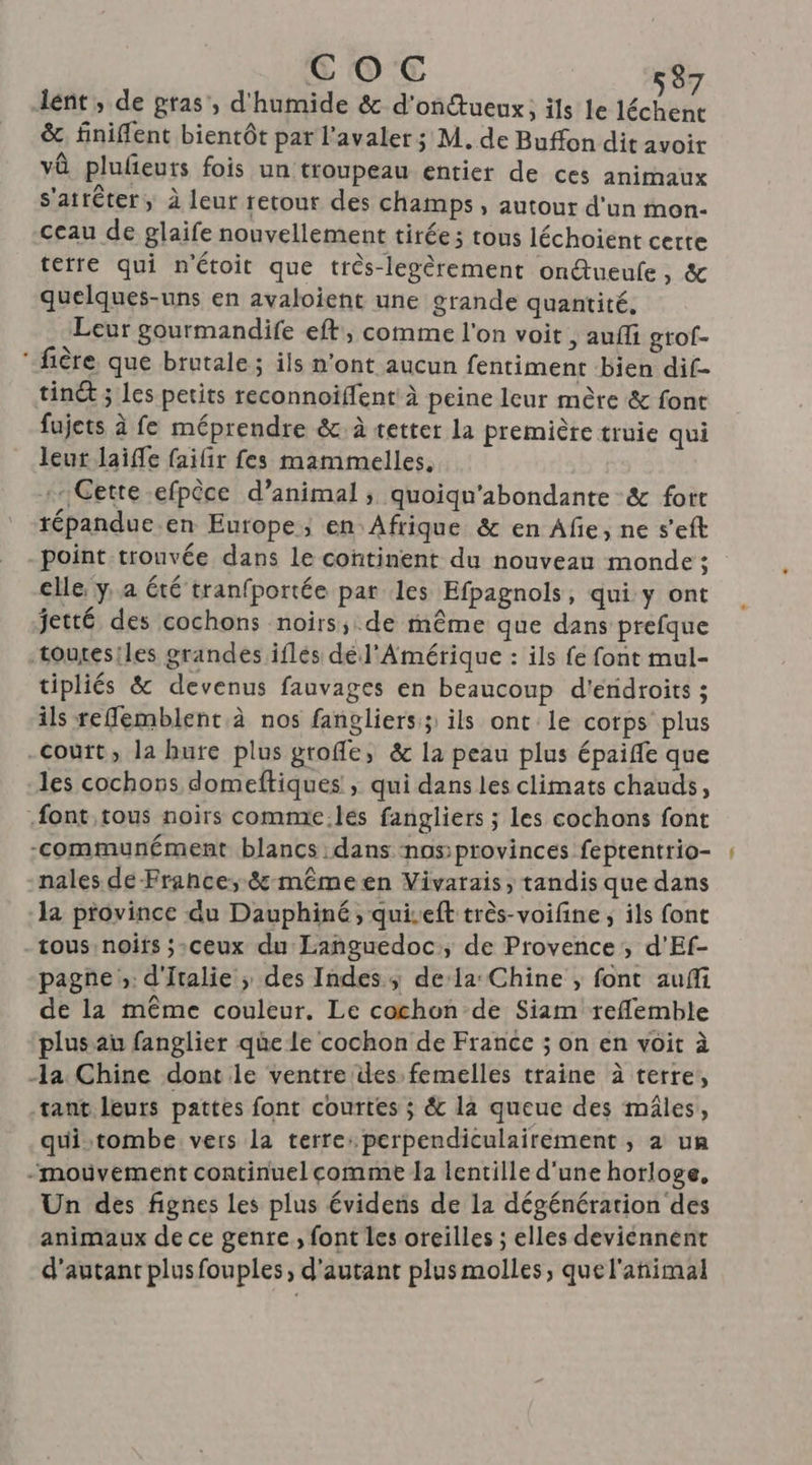 lént , de gras’, d'humide &amp; d’ontueux, ils Le jee &amp; finiflent bientôt par l'avaler ; M. de Buffon dit avoir vû plufeurs fois un troupeau entier de ces animaux s'atrêter, à leur retour des champs , autour d'un mon- ceau de glaife nouvellement tirée; tous léchoient certe terre qui n'étoit que très-legèrement onétueufe, &amp; quelques-uns en avaloient une grande quantité, Leur gourmandife eft, comme l'on voit, aufli grof- ‘fière que brutale; ils n’ont aucun fentiment bien dif- tint ; Les petits reconnoiïffent à peine leur mère &amp; font fujets à fe méprendre &amp;c. à tetter la première truie qui leur laiffe failir fes mammelles, Cette efpêce d’animal ; quoiqu'abondante &amp; fort répandue.en Europe, en Afrique &amp; en Afe, ne s’eft point trouvée dans le continent du nouveau monde ; elle y, a été tranfportée par les Efpagnols, qui y ont jetté des cochons noirs; de même que dans prefque toutesiles grandes iflés dél'Amérique : ils fe font mul- tipliés &amp; devenus fauvages en beaucoup d'eridroits ; ils reSemblent à nos fangliers; ils ont le corps plus -Couit, la hure plus groffle, &amp; la peau plus épaiffe que les cochons domeftiques ; qui dans les climats chauds, .font,tous noirs comme.lés fangliers ; les cochons font -communément blancs dans nos provinces feptentrio- nales de Frahce:,-&amp; même en Vivarais, tandis que dans la province du Dauphiné, quiseft très-voifine ; ils font tous noifs ;:ceux du Languedoc, de Provence , d’'Ef- pagne » d'Italie ; des Indes, dela Chine , font aufñi de la même couleur. Le cochon de Siam reflemble plus au fanglier que le cochon de France ; on en voit à la Chine dont le ventre des femelles traine à terre, tant leurs pattes font courtes ; &amp; la queue des mâles, quitombe vers la terre: perpendiculairement , à ua “mouvement continuel comme la lentille d'une horloge, Un des fignes les plus évidens de la dégénération des animaux de ce genre, font les oreilles ; elles deviénnent d'autant plusfouples, d'autant plus molles, quel'añimal