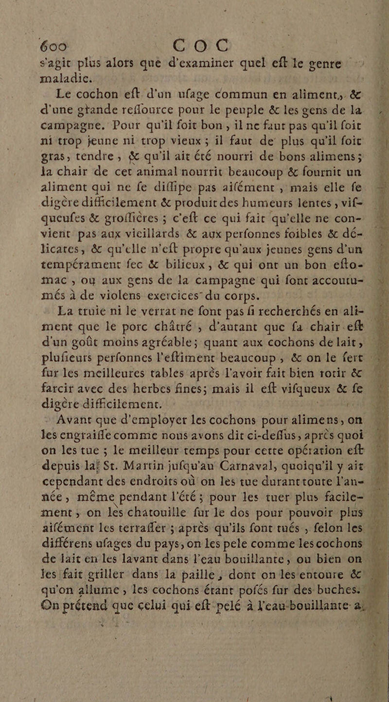 s'agit plus alors que d'examiner quel eft le genre maladie. Le cochon eft d'un ufage commun en aliment, & d'une gtande reflource pour le peuple & les gens de la campagne. Pour qu'il foit bon, il ne faut pas qu'il foit ni trop jeune ni trop vieux ; il faut de plus qu’il foit gras, tendre, & qu'il ait été nourri de bons alimens; la chair de cet animal nourrit beaucoup & fournit un aliment qui ne fe diflipe pas ailément , mais elle fe digère difficilement & produit des humeurs léntes , vi£- queufes & groilières ; c'eft ce qui fait qu'elle ne con- vient pas aux vicillards & aux perfonnes foibles &c dé- licates, & qu'elle n’eft propre qu'aux jeunes gens d’un tempérament fec & bilieux, & qui ont un bon efto- mac , où aux gens de la campagne qui font accoutu- més à de violens exercices” du corps. La truie ni le verrat ne font pas fi recherchés en ali- ment que le porc châtré ; d'autant que fa chair.eft d'un goût moins agréable; quant aux cochons de lait, plufieurs perfonnes l'efliment beaucoup , & on le fert : fus les meilleures tables après l'avoir fait bien rotir & farcir avec des herbes fines; mais il eft vifgaeux & fe digère difficilement. | Avant que d'employer les cochons pour alimens, on les engraifle comme nous avons dit ci-deflus, apres quoi on les tue ; le meilleur temps pour cette opération eft depuis laï St. Martin jufqu'au Carnaval, quoiqu'il y ait cependant des endroits où on les tue duranttoute l'an née, même pendant l'été ; pour les tuer plus facile- ment, on lès chatouille fur le dos pour pouvoir plus aifément les terraflér ; après qu'ils font tués , felon les. différens ufages du pays, on les pele comme les cochons de jait en les lavant dans l’eau bouillante, ou bien on les fait griller dans la paille , dont on les entoure &! qu'on allume, les cochons érant pofés fur des buches. On prétend ne celui qui eft pelé à éVeau bouillante a. 4
