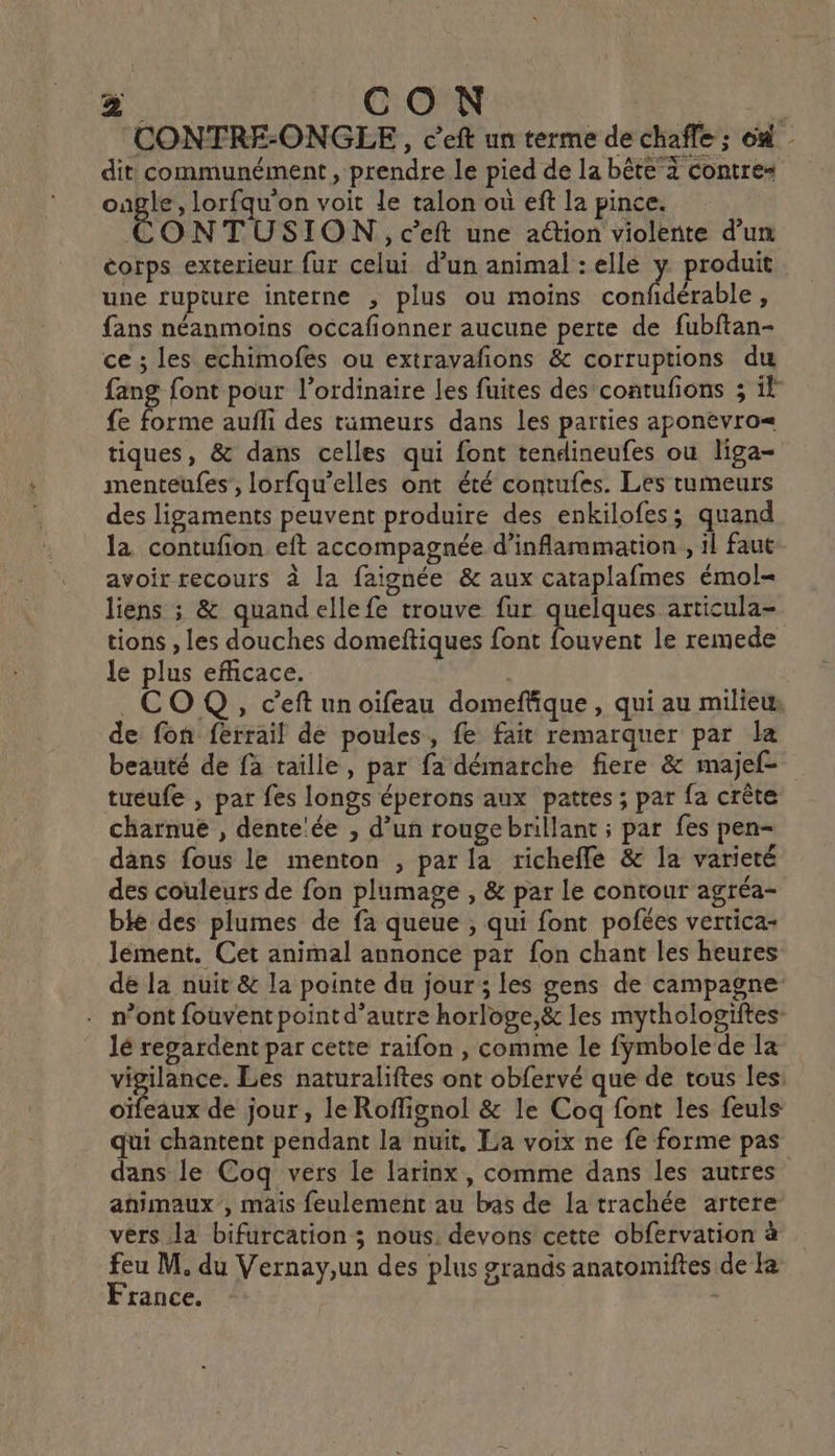 CR CON T'ES | CONTRE-ONGEE, c’eft un terme de chaffe ; où - dit communément , prendre le pied de la bête 4 contres ongle, lorfqu'on voit le talon où eft la pince. CONTUSION, c’eft une action violente d’un corps exterieur fur celui d’un animal : elle y produit une rupture interne ; plus ou moins confdérable, fans néanmoins occafionner aucune perte de fubftan- ce ; les echimofes ou extravañons &amp; corruptions du fang font pour l'ordinaire les fuites des contufons 3 il fe forme aufli des tameurs dans les parties aponevro= tiques, &amp; dans celles qui font tendineufes ou liga- menteufes’, lorfqu’elles ont été contufes. Les rumeurs des ligaments peuvent produire des enkilofess quand la contufion eft accompagnée d’inflarmmation , 1l faut avoir recours à la faignée &amp; aux cataplafmes émol- liens ; &amp; quandellefe trouve fur quelques articula- tions , les douches domeftiques font fouvent le remede le plus efficace. . COQ, ceft unoifeau domeffique, qui au milieu de fon ferrail de poules, fe fait remarquer par la beauté de fà taille, par fa démarche fiere &amp; majef- tueufe , par fes longs éperons aux pattes ; par fa crête charnuë , dente:ée , d’un rouge brillant ; par fes pen- dans fous le menton , par la richefle &amp; la varieté des couleurs de fon plumage , &amp; par le contour agréa- ble des plumes de fa queue ; qui font pofées vertica- lement. Cet animal annonce par fon chant les heures de la nuit &amp; la pointe du jour; les gens de campagne n’ont fouvent point d'autre horloge,&amp; les mythologiftes lé regardent par cette raifon , comme le fymbole de la vigilance. Les naturaliftes ont obfervé que de tous les: oïfeaux de jour , le Roflignol &amp; le Coq font les feuls qui chantent pendant la nuit, La voix ne fe forme pas dans le Coq vers le larinx, comme dans les autres animaux’, mais feulement au bas de la trachée artere vers la bifurcation ; nous. devons cette obfervation à rance. ;