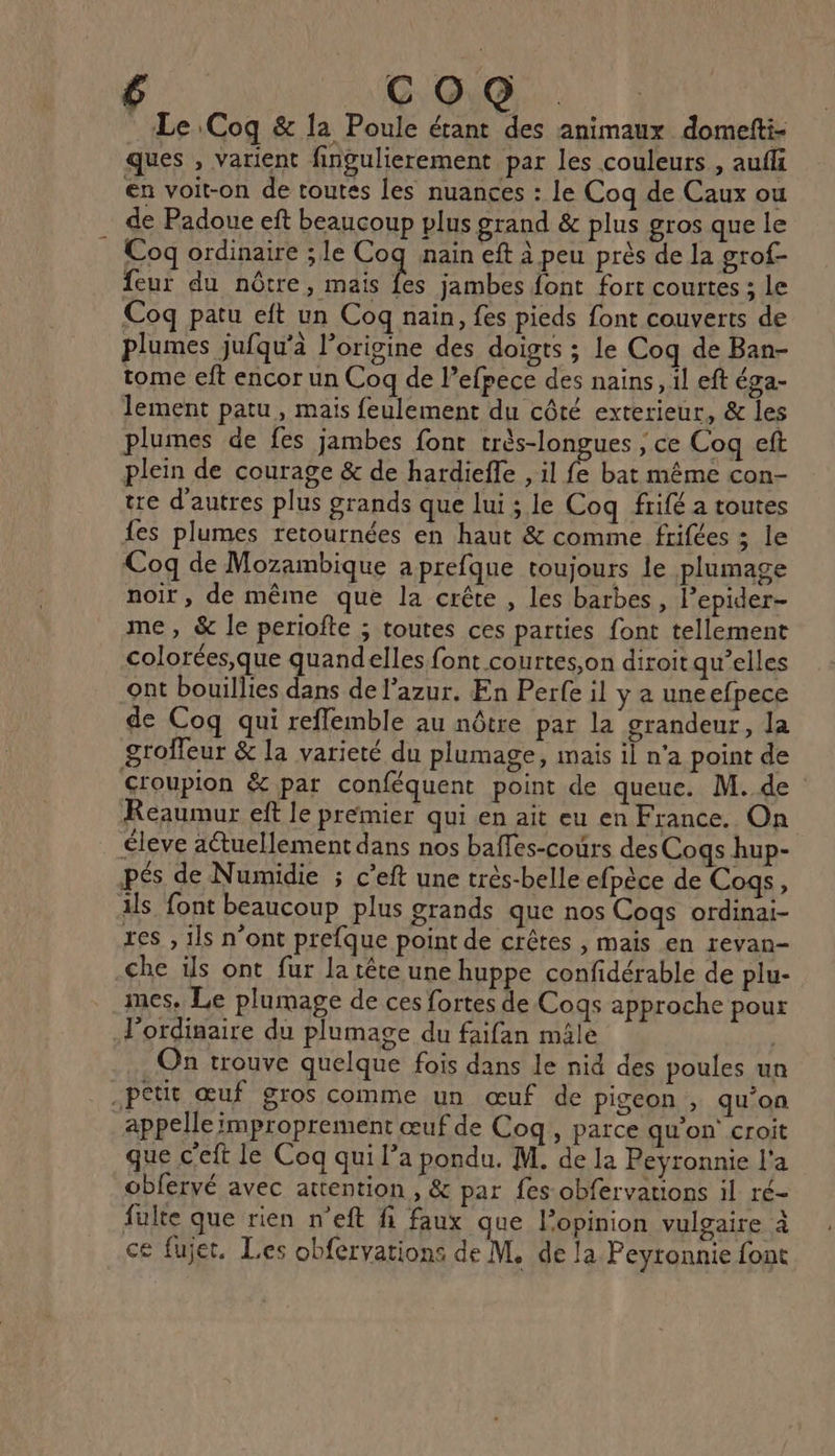 COQ . Le Coq &amp; la Poule étant des animaux domefti- ques , varient fingulierement par les couleurs , auf en voit-on de toutes Îles nuances : le Coq de Caux ou de Padoue eft beaucoup plus grand &amp; plus gros que le Coq ordinaire ; le Coq nain eft à peu près de la grof- feur du nôtre, mais ke jambes font fort courtes ; Le Coq patu eft un Coq naïn, fes pieds font couverts de plumes jufqu’à l’origine des doigts ; le Coq de Ban- tome eft encor un Coq de l’efpece des nains, il eft éga- lement patu, mais feulement du côté exterieur, &amp; les plumes de fés jambes font très-longues ; ce Cog eft plein de courage &amp; de hardieffe , il fe bat même con- tre d'autres plus grands que lui ; le Coq frifé a toutes fes plumes retournées en haut &amp; comme frifées 5 le Coq de Mozambique aprefque toujours le plumage noir, de même que la crête , les barbes, l’epider- me, &amp; le periofte ; toutes ces parties font tellement colorées,que quandelles font courtes,on diroit qu’elles ont bouillies dans de l'azur. En Perfe il y a uneefpece de Cog qui reflemble au nôtre par la grandeur, la grofleur &amp; la varieté du plumage, maïs il n’a point de Groupion &amp; par conféquent point de queue. M.de Reaumur eft le premier qui en ait eu en France. On éleve actuellement dans nos baffes-cours des Cogs hup- pés de Numidie ; c’eft une trés-belle efpèce de Cogg, ils font beaucoup plus grands que nos Cogs ordinai- tes , ils n’ont prefque point de crêtes , mais en revan- -che ils ont fur la tête une huppe confidérable de plu- mes. Le plumage de ces fortes de Coqs approche pour l'ordinaire du plumage du faifan mâle | On trouve quelque fois dans le nid des poules un petit œuf gros comme un œuf de pigeon , qu’on appelle improprement œuf de Coq, parce qu'on’ croit que c'eft le Coq qui l’a pondu. M. de la Peyronnie l'a obfervé avec attention , &amp; par fes obfervations il ré- fulte que rien n’eft fi faux que l'opinion vulgaire à