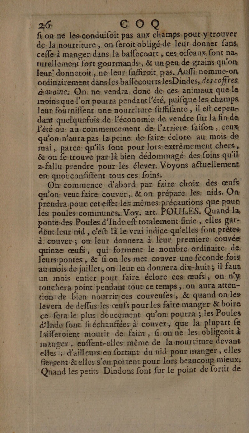 26 COQ | fion ne les-conduifoit pas aux champs-pour-yitrouver de: la nourriture. on feroitobligé.de leur donner fans, ceffe à manger: dans la baffecourt , ces.oifeaux font na. turellement fort gourmands, &amp; unipeu de grains qu'on Jeur' donneroit, ne leur fufhroit pas. Auffi; nomme-on ordinairement dansles.baflecourtslesDindes;.des coffres, &amp;avoine: On: ne vendra. donc de: ces: animaux que.le imoinsque l’on pourra pendant l'été, puifque les champs leur fourniflent une: nourriture fuffifante , 1l eit cepens dant quelquefois.de. l'économie de vendre fur la fin.de Pété-ou: au. commencement de: l'arriere: faifon , ceux qu'onin'aura pas laipeine. de faire. éclore au: mois. de mai, parce: qu'ils font pour lors extrémement chers, &amp;: on fetrouve par-là bien dédommagé. des:foins qu'ik a-fallu prendre pour-les élever. Voyons aétuellement, em quorconfiftent tous ces foins: Oh: commence d’abord par faire choix des œufs quan: veut faire couver, &amp;on prépate: les: nids. Ox prendra pour ceteffet:les mêmes:précautions que pour les poules:communes: Voy. art. POULES, Quand:la pante-des Poules d’'Indeeft totalement finie. elles gar- déntleur-nid , c'eft là Le vrai indice-qu’elles font prêtes, À: couvet-; om leur donnera à. leur premiere. couvée: quinze: œufs, qui: forment le nombre. ordinaire: de, Jeursipontes, &amp; fon les met couver une-feconde:fois aumois-de juillet, on leur en donnera dix-huit; il faut un mois entier pour faire éclore ces œufs, on. n'y touchera point pendant tout ce temps ; on aura attén- tion de bien nourririces couveufes:, &amp; quand on les lévera de deffus les œufs pour les faire manger &amp; boire ce fera.le plus doucement qu’on: pourra ;:les Poules d'Inde font fi échauffées à! couver, que la: plupart fe laiflevoient mourir de: faim, fon ne les; obligeoit à ‘manger, euffent-elles: même de la nourriture devant elles ; d’ailleurs:en fortant du nid pour manger, elles féntent &amp;elles s’emportent pour Lars beaucoup mieux: Quand Les petits Dindons font fur le point de fortr de