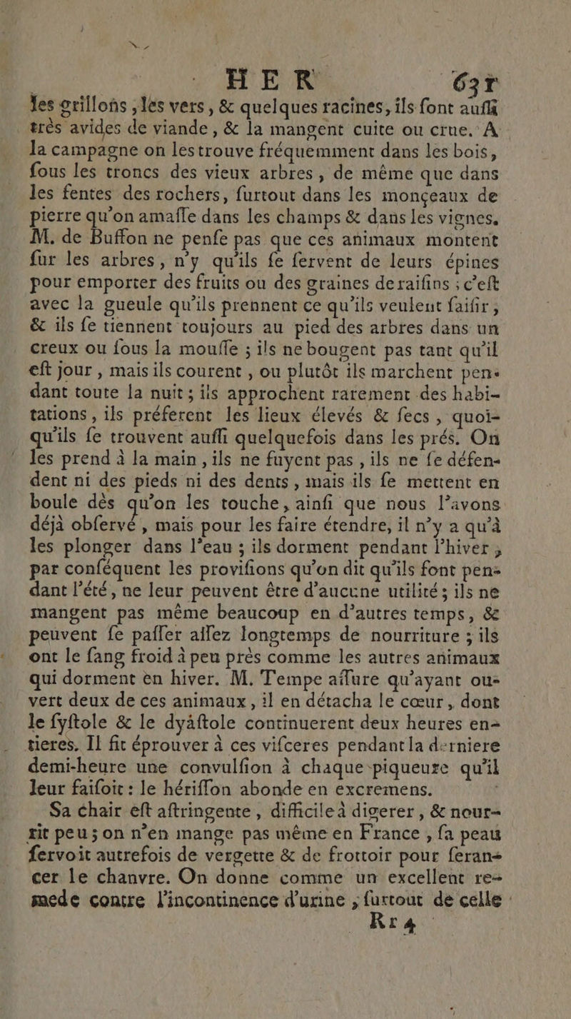 HER _63r les grillons les vers, &amp; quelques racines, ils font D très avides de viande, &amp; la mangent cuite ou crue. À Ja campagne on lestrouve fréquemment dans les bois, fous les troncs des vieux arbres, de même que dans les fentes des rochers, furtout dans les monçeaux de pierre qu'on amafle dans les champs &amp; dans Les vignes, M. de Buffon ne penfe pas que ces animaux montent fur les arbres, n'y qu'ils fe fervent de leurs épines pour emporter des fruits ou des graines de raifins ; c’eft avec la gueule qu’ils prennent ce qu'ils veulent faifir, &amp;c ils fe tiennent toujours au pied des arbres dans un creux ou fous la moufle ; ils ne bougent pas tant qu’il eft jour , mais ils courent , ou plutôt ils marchent pen: dant toute la nuit; ils approchent rarement des habi- tations , ils préferent les lieux élevés &amp; fecs, quoi- qu'ils fe trouvent aufli quelquefois dans les prés. On les prend à la main, ils ne fuyent pas , ils ne fe défen- dent ni des pieds ni des dents , mais ils fe mettent en boule dès qu’on les touche, ainfi que nous l’avons déjà obfervé , mais pour les faire étendre, il n'y a qu'à les plonger dans l’eau ; ils dorment pendant l’hiver par conféquent les provifions qu’on dit qu’ils font pen dant l'été, ne leur peuvent être d'aucune utilité; ils ne mangent pas même beaucoup en d’autres temps, &amp; peuvent fe pafler ailez longtemps de nourriture ; ils ont le fang froid à peu près comme les autres animaux qui dorment en hiver. M. Tempe afure qu'ayant ou- vert deux de ces animaux, il en détacha le cœur, dont le fyftole &amp; le dyäftole continuerent deux heures en tieres, IL fit éprouver à ces vifceres pendantla derniere demi-heure une convulfion à chaque piqueure qu'il leur faifoic : le hériflon abonde en excremens. Sa chair eft aftringente, difficile à digerer , &amp; nour- it peu ; on n'en mange pas même en France , fa peau fervoit autrefois de vergetre &amp; de frottoir pour feran&lt; cer le chanvre. On donne comme un excellent re- mede contre l’incontinence d’unine , furtout dé celle : Rra
