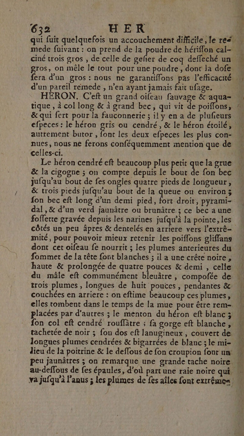 ciné trois gros , de celle de gefter de coq deffeché un gros, on mêle le tout pour une poudre, dont la dofe d'un pareil remede , n’en ayant jamais fait ufage. HERON. C'eft un grand oifeau fauvage &amp; aqua- tique , à col long &amp; à grand bec, qui vit de poiflons, &amp; qui fert pour la fauconnerie ; il y en a de plufieurs autrement butor , font les deux efpeces les plus con- nues, nous ne ferons conféquemment mention que de celles-ci. | Le héron cendré eft beaucoup plus petit que la grue jufqu’au bout de fes ongles quatre pieds de longueur, &amp; trois pieds jufqu’au bout de la queue ou environ 3 {on bec eft long d’un demi pied, fort droit, pyrami- dal ,&amp; d’un verd jaunâtre ou brunâtre ; ce bec a une fofferte gravée depuis les narines jufqu’à la pointe, les côtés un peu âpres &amp; dentelés en arriere vers l’extrè- mité, pour pouvoir mieux retenir les poiflons gliffans dont cet oifeau fe nourrit ; les plumes anterieures du fommet de la tête font blanches ; il a une crête noire, haute &amp; prolongée de quatre pouces &amp; demi , celie du mâle eft communément bleuâtre, compofée de trois plumes , longues de huit pouces , pendantes &amp; couchées en arriere : on eftime beaucoup ces plumes, elles tombent dans le temps de la mue pour être rem- placées par d’autres ; le menton du héron eft blanc ; fon col eft cendré rouffätre ; fa gorge eft blanche, tachetée de noir ; fon dos eft lanugineux , couvert de longues plumes cendrées &amp; bigarrées de blanc ; le mi- au-deffous de fes épaules, d’où part une raie noire qui. ÿ.