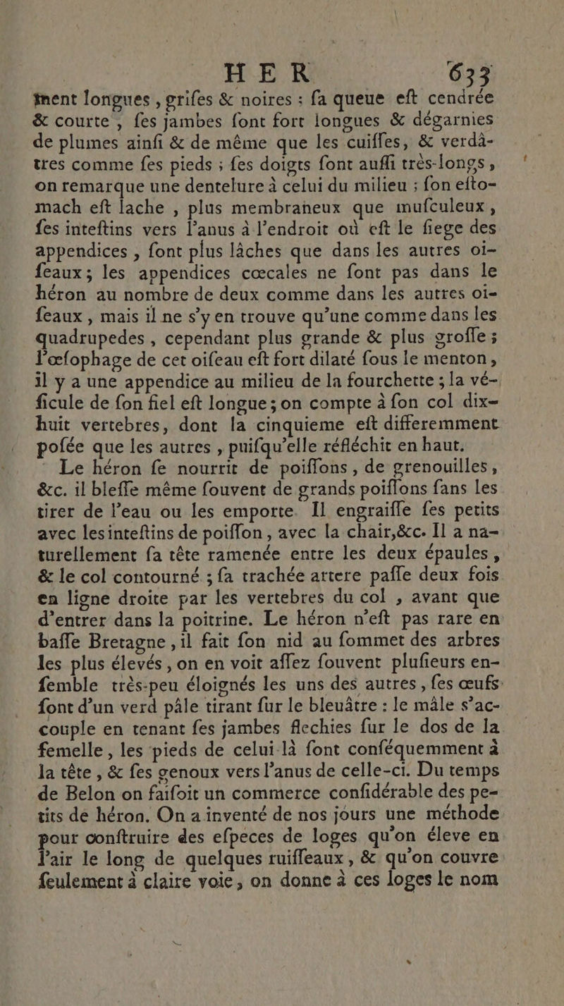 ment longues , grifes &amp; noires : fa queue eft Mn &amp; courte , fes jambes font fort longues &amp; dégarnies de plumes ainfi &amp; de même que les cuifles, &amp; verdä- tres comme fes pieds ; fes doigts font aufli très-longs, on remarque une dentelure à celui du milieu ; fon efto- mach eft lache , plus membraneux que mufculeux, fes inteftins vers l’anus à l'endroit où eft le fiege des appendices , font plus lâches que dans les autres oi- feaux; les appendices cœcales ne font pas dans le héron au nombre de deux comme dans les autres oi- feaux , mais il ne s’y en trouve qu’une comme dans les quadtupedes , cependant plus grande &amp; plus groffe ; l'œfophage de cet oifeau eft fort dilaté fous le menton, il y a une appendice au milieu de la fourchette ; la vé- ficule de fon fiel eft longue ; on compte à fon col dix- huit vertebres, dont la cinquieme eft differemment pofée que les autres , puifqu’elle réfléchit en haut. Le héron fe nourrit de poiflons , de grenouilles, &amp;c. il bleffe même fouvent de grands poiflons fans les tirer de l’eau ou les emporte. Il engraifle fes petits avec lesinteftins de poiflon, avec La chair,&amp;c. Il à na- turellement fa tête ramenée entre les deux épaules, &amp; le col contoutné ; fa trachée artere pañle deux fois en ligne droite par les vertebres du col , avant que d'entrer dans la poitrine. Le héron n'eft pas rare en baffle Bretagne , il fait fon nid au fommet des arbres les plus élevés , on en voit affez fouvent plufieurs en- femble très-peu éloignés les uns des autres, fes œufs: font d’un verd pâle tirant fur le bleuâtre : le mäle s’ac- couple en tenant fes jambes flechies fur le dos de la femelle , les pieds de celui-là font conféquemment à la tête , &amp; fes genoux vers l’anus de celle-ci. Du temps de Belon on faifoit un commerce confidérable des pe- tits dé héron. On a inventé de nos jours une méthode pour conftruire des efpeces de loges qu'on éleve en l'air le long de quelques ruifleaux , &amp; qu'on couvre feulement à claire voie, on donne à ces loges le nom