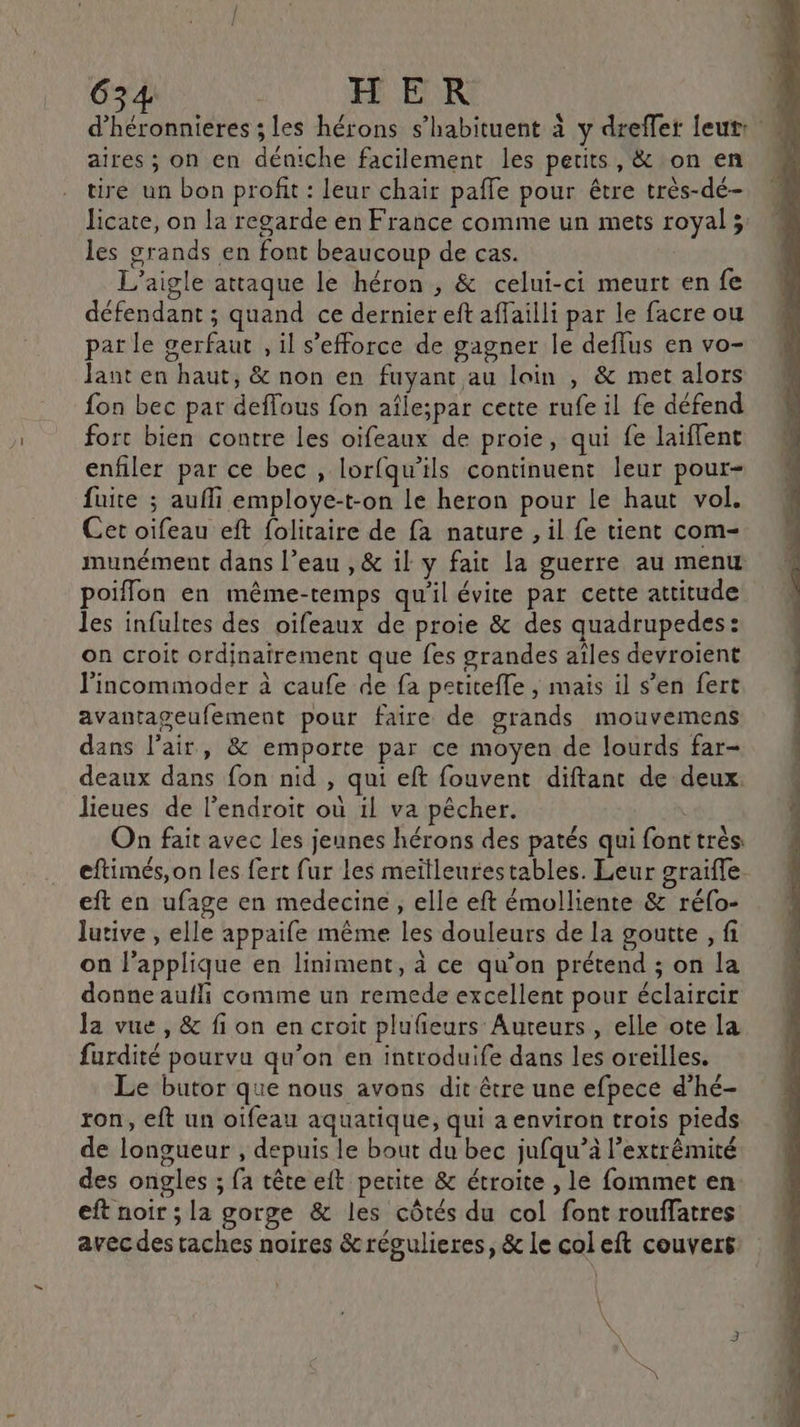 PAS TEAM hérons s’habituent à y dreffer leur: . aires ; on en déniche facilement les petits, &amp; on en tire un bon profit : leur chair paîle pour être très-dé- Jicate, on la regarde en France comme un mets royal; les grands en font beaucoup de cas. L’aigle attaque le héron , &amp; celui-ci meurt en fe défendant ; quand ce dernier eft affailli par le facre ou par le gerfaut , il s’efforce de gagner le deflus en vo- Jant en haut, &amp; non en fuyant au loin , &amp; met alors fon bec par deffous fon afle;par cette rufe il fe défend fort bien contre les oïfeaux de proie, qui fe laiflent enfiler par ce bec , lorfqu’ils continuent leur pour- fuite ; aufli employe-t-on le heron pour le haut vol. Cet oifeau eft folitaire de fa nature , il fe tient com- munément dans l’eau , &amp; il y fait la guerre au menu poifflon en même-temps qu'il évite par cette attitude les infultes des oifeaux de proie &amp; des quadrupedes: on croit ordinairement que fes grandes ailes devroient l'incommoder à caufe de fa petiteffe ; mais il s’en fert avantageufement pour faire de grands mouvemens dans l'air, &amp; emporte par ce moyen de lourds far- deaux dans fon nid , qui eft fouvent diftant de deux. lieues de l'endroit où il va pêcher. On fait avec les jeunes hérons des patés qui fonttrés eftimés, on les fert fur les meitleurestables. Leur graiffe. eft en ufage en medecine, elle eft émolliente &amp; réfo- lutive , elle appaife même les douleurs de la goutte , fi on l’applique en liniment, à ce qu’on prétend ; on la donne aufli comme un remede excellent pour éclaircir la vue , &amp; fi on en croit plufieurs Auteurs, elle ote la furdité pourvu qu’on en introduife dans les oreiïlles. Le butor que nous avons dit être une efpece d’hé- ron, eft un oifeau aquatique, qui a environ trois pieds de longueur , depuis le bout du bec jufqu’à l’extrêmité des ongles ; fa tête eft petite &amp; étroite , le fommet en. eft noir ; la gorge &amp; les côtés du col font rouffatres avecdes taches noires &amp;régulieres, &amp; le col eft couvers