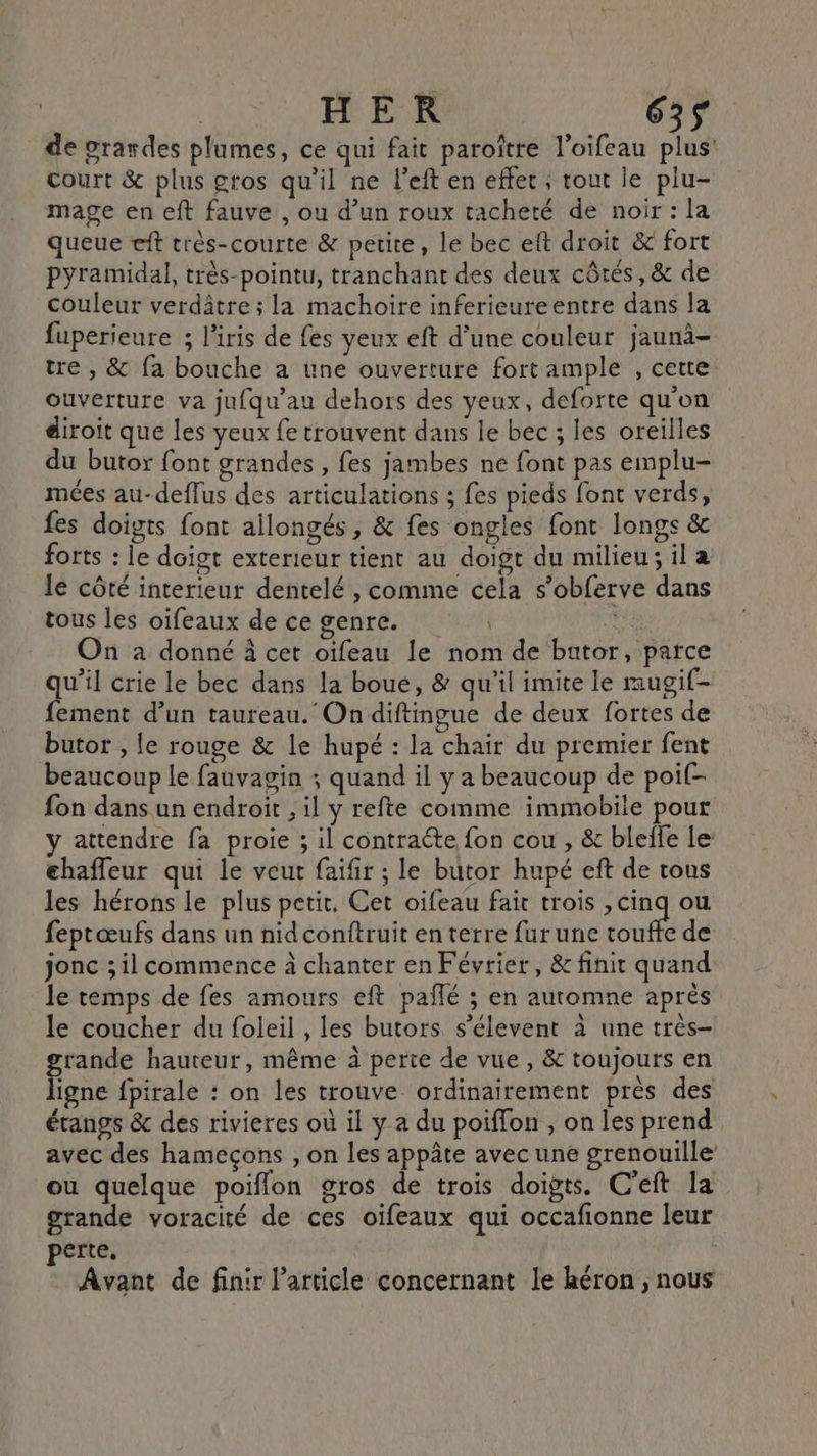 HER 63$ de grandes plumes, ce qui fait paroître l’oifeau plus’ court &amp; plus gros qu'il ne Left en effer, tout le plu- mage en eft fauve , ou d’un roux tacheté de noir: la queue eft crès-courte &amp; petite, le bec eft droit &amp; fort pyramidal, très-pointu, tranchant des deux côtés, &amp; de couleur verdâtre ; la machoire inferieureentre dans la fuperieure ; l'iris de fes yeux eft d’une couleur jaunà- tre , &amp; fa bouche à une ouverture fort ample , cette ouverture va jufqu’au dehors des yeux, deforte qu'on diroït que les yeux fe trouvent dans le bec ; les oreilles du butor font grandes, fes jambes ne font pas emplu- mées au-deffus des articulations ; fes pieds font verds, fes doigts font allongés , &amp; fes ongles font longs &amp; forts : le doigt exterieur tient au doigt du milieu; il a le côté interieur dentelé , comme cela s’obferve dans tous les oifeaux de cegenre. : On a donné À cet oïfeau le nom de butor, parce qu’il crie le bec dans la boue, &amp; qu'il imite le mugif- fement d’un taureau. On diftingue de deux fortes de butor , le rouge &amp; le hupé : la chair du premier fent beaucoup le fauvagin ; quand il y a beaucoup de poif- fon dans un endroit , il y refte comme immobile pour y attendre fa proie ; il contraéte fon cou , &amp; bleife le: chaffeur qui le veut faifir ; le butor hupé eft de tous les hérons le plus petit. Cet oifeau fait trois , cinq ou feptœufs dans un nid conftruit en terre furune out de jonc ; il commence à chanter en Février, &amp; finit quand le temps de fes amours eft pañlé ; en automne après le coucher du foleil , les butors s’élevent à une très- grande hauteur, même à perte de vue, &amp; toujours en ligne fpirale : on les trouve ordinairement près des étangs &amp; des rivieres où il y a du poiffon , on les prend avec des hamecçons , on les appâte avec une grenouille ou quelque poiffon gros de trois doigts. C’eft la grande voracité de ces oïifeaux qui occafionne leur perte. | Avant de finir l’article concernant le héron , nous