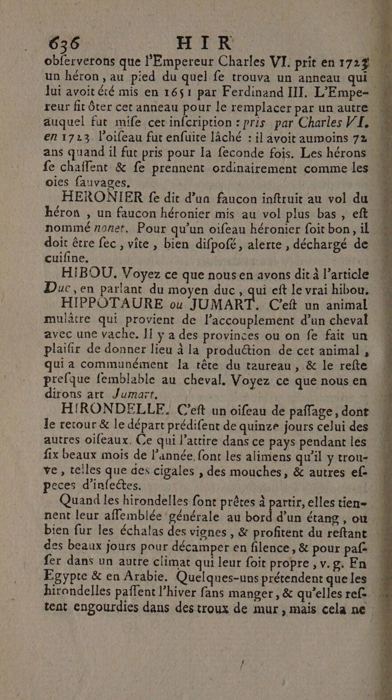 un héron, au pied du quel fe trouva un anneau qui reur fit ôter cet anneau pour le remplacer par un autre auquel fut mife cet infcription : pris par Charles VI, en 1723. l’oifeau fut enfuite lâché : ii avoit aumoins 72 ans quand il fut pris pour la feconde fois. Les hérons fe chaffent &amp; fe prennent ordinairement comme les oies fauvages, | HERONIER fe dit d’un faucon inftruit au vol du héron , un faucon héronier mis au vol plus bas, eft nommé zonet. Pour qu’un oifeau héronier foit bon, il doit être fec , vite , bien difpofé, alerte , déchargé de cuifine. | HIBOU. Voyez ce que nous en avons dit à l’article Duc, en parlant du moyen duc , qui eft le vrai hibou, HIPPOTAURE ou JUMART. C'eft un animal mulètre qui provient de laccouplement d’un cheval avec une vache. II y a des provinces ou on fe fait un plaifir de donner lieu à la production de cet animal , ui a communément la tête du taureau, &amp; le refte prefque femblable au cheval. Voyez ce que nous en dirons art Jumart. HIRONDELLE. C’eft un oifeau de paffage, dont Je retour &amp; le départ prédifent de quinze jours celui des autres oifeaux. Ce qui l’atrire dans ce pays pendant les fix beaux mois de l’année font les alimens qu'il y trou- ve , telles que des cigales , des mouches, &amp; autres ef eces d’infeétes. Quand les hirondelles font prêtes à partir, elles tien= nent leur affemblée générale au bord d’un étang , ou bien fur les échalas des vignes , &amp; profitent du reftant des beaux jours pour décamper en filence, &amp; pour paf fer dans un autre climat qui leur foit propre , v.g. En Egypte &amp; en Arabie. Quelques-uns prétendent que les tent engourdies dans des troux de mur , mais cela ne os