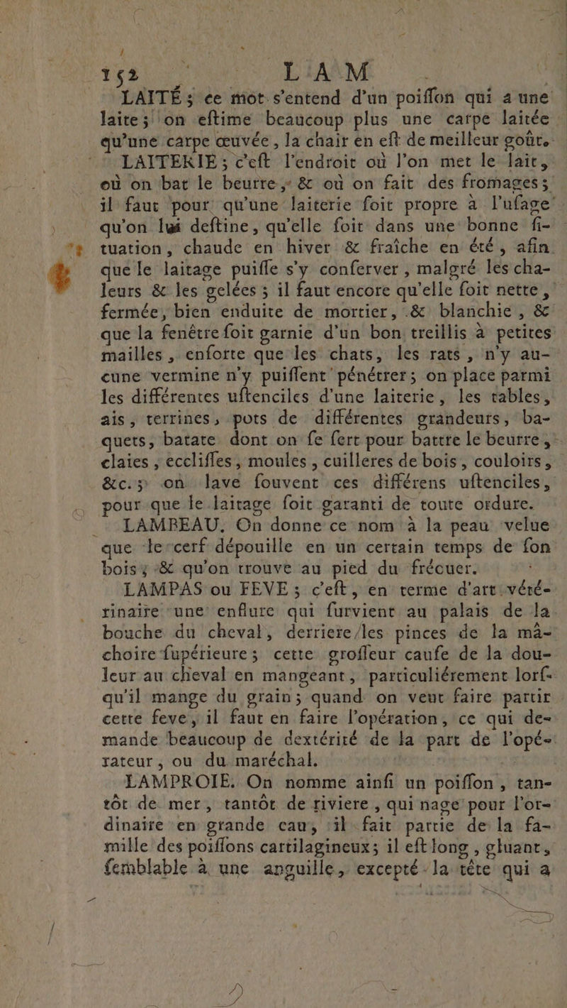 ‘y Î laite; on eftime beaucoup plus une carpe laitée LAITERIE ; c'eft l'endroit où l’on met le lait, où on bat le beurre, &amp; ou on fait des fromages; qu'on l@ deftine, qu'elle foit dans une bonne fi- que le laitage puifle s’y conferver , malgré les cha- fermée, bien enduite de mortier, &amp; blanchie , &amp; . . s «94 + \ . que la fenêtre foit garnie d'un bon treillis à petites cune vermine n'y puiflent pénétrer; on place parmi les différentes uftenciles d’une laiterie, les tables, ais, terrines, pots de différentes grandeurs, ba- quets, batate dont on fe fert pour battre le beurre, &amp;c.; on lave fouvent ces différens uftenciles, pour que le laitage foit garanti de toute ordure. LAMREAU. On donne ce nom à la peau velue bois y :&amp; qu'on trouve au pied du frécuer. LAMPAS ou FEVE ; c'eft, en terme d'art véré- rinaire une enflure qui furvient au palais de la bouche du cheval, derriere/les pinces de la mà- choire fupérieures cette grofleur caufe de la dou- leur au cheval en mangeant, particuliérement lorf- qu'il mange du grain; quand on veut faire partir cette feve, il faut en faire l'opération, ce qui de- F rateur, ou du maréchal. LAMPROIE. On nomme ainfi un poiffon , tan- dinaire en grande cau, ‘il fait partie de la fa- ne femblable à une anguille, excepté la tête qui a TES