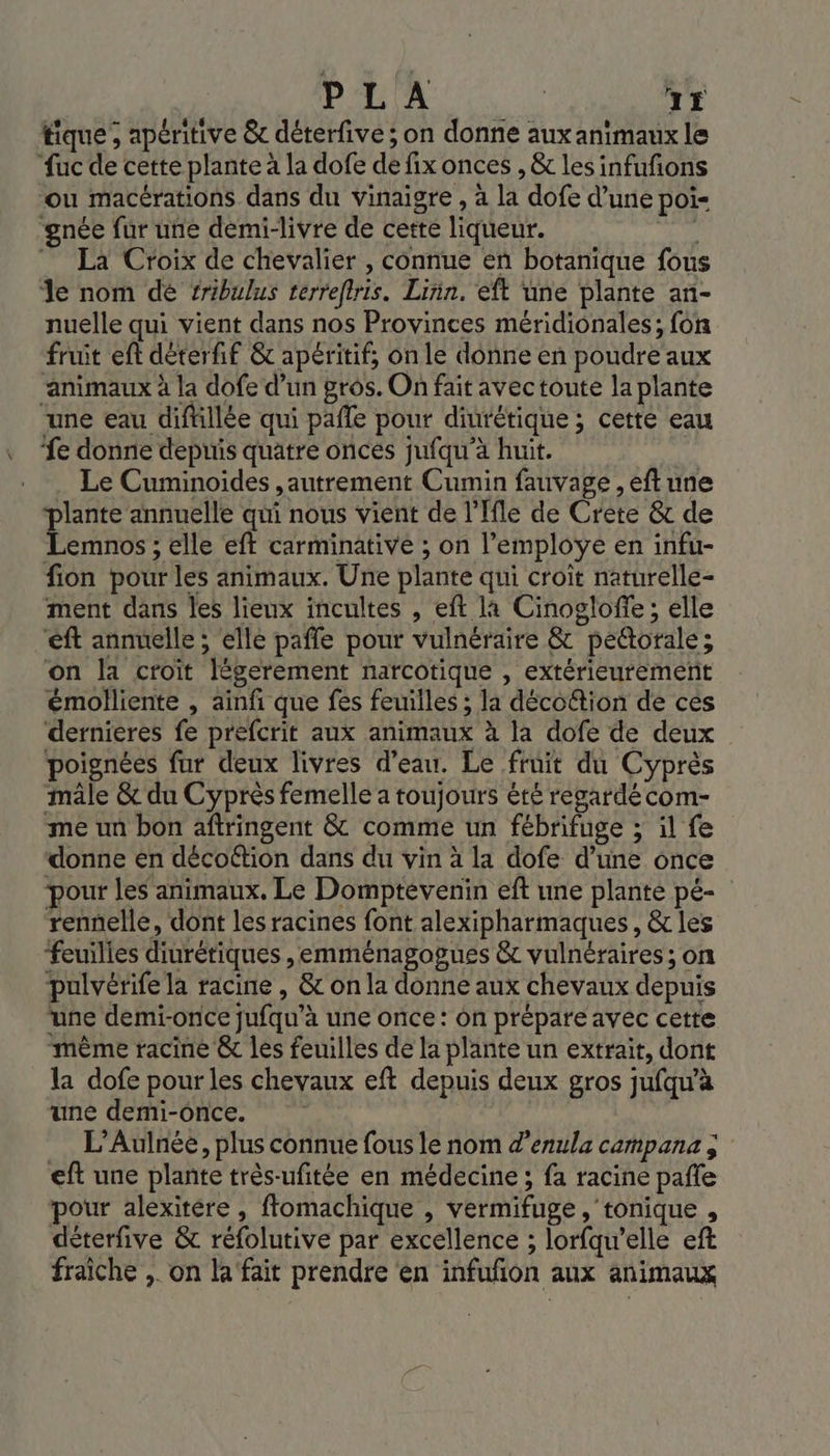 PARA | 15 tique ; apéritive &amp; déterfive ; on donne aux animaux le fuc de cette plante à la dofe de fix onces , &amp; les infufñons ‘ou macérations dans du vinaigre , à la dofe d’une poi- ‘gnée fur une demi-livre de cette liqueur. 1 La Croix de chevalier , connue en botanique fous Je nom dé fribulus terreftris. Lin. eft une plante an- nuelle qui vient dans nos Provinces méridionales; fon fruit eft déterfif &amp; apéritif, on le donne en poudre aux “animaux à la dofe d’un gros. On fait avectoute la plante une eau diftillée qui pafle pour diurétique ; cette eau ‘fe donne depuis quatre onces jufqu'à huit. | . Le Cuminoides ,autrement Cumin fauvage, eft une ‘plante annuelle qui nous vient de l’Ifle de Crete &amp; de Lemnos ; elle eft carminative ; on l’employe en infu- fion pour les animaux. Une plante qui croit naturelle- ment dans les lieux incultes , eft la Cinoglofie; elle ‘ft annuelle ; elle pafle pour vulnéraire &amp; pettorale; on la croit légerement narcotique , extérieurement émolliente , ainfi que fes feuilles ; la décottion de ces dernieres fe prefcrit aux animaux à la dofe de deux poignées fur deux livres d’eau. Le fruit du Cyprès mâle &amp; du Cyprès femelle a toujours été regardé com- me un bon aftringent &amp; comme un fébrifuge ; il fe ‘donne en décoétion dans du vin à la dofe d’une once pour les animaux. Le Domptevenin eft une plante pé- rennelle, dont les racines font alexipharmaques, &amp; les feuilies diurétiques ,emménagogues &amp; vulnéraires ; on pulvérife la racine , &amp; on la donne aux chevaux depuis une demi-once jufqu’à une once : on prépare avec cette même racine &amp; les feuilles de la plante un extrait, dont la dofe pour les chevaux eft depuis deux gros jufqu'à une demi-once. L’Aulnée, plus connue fous le nom d’enula campana ; eft une plante très-ufitée en médecine ; fa racine pafle pour alexitére , flomachique , vermifuge , tonique , déterfive &amp; réfolutive par excellence ; lorfqu’elle eft fraiche ,. on la'fait prendre ‘en infufñon aux animaux