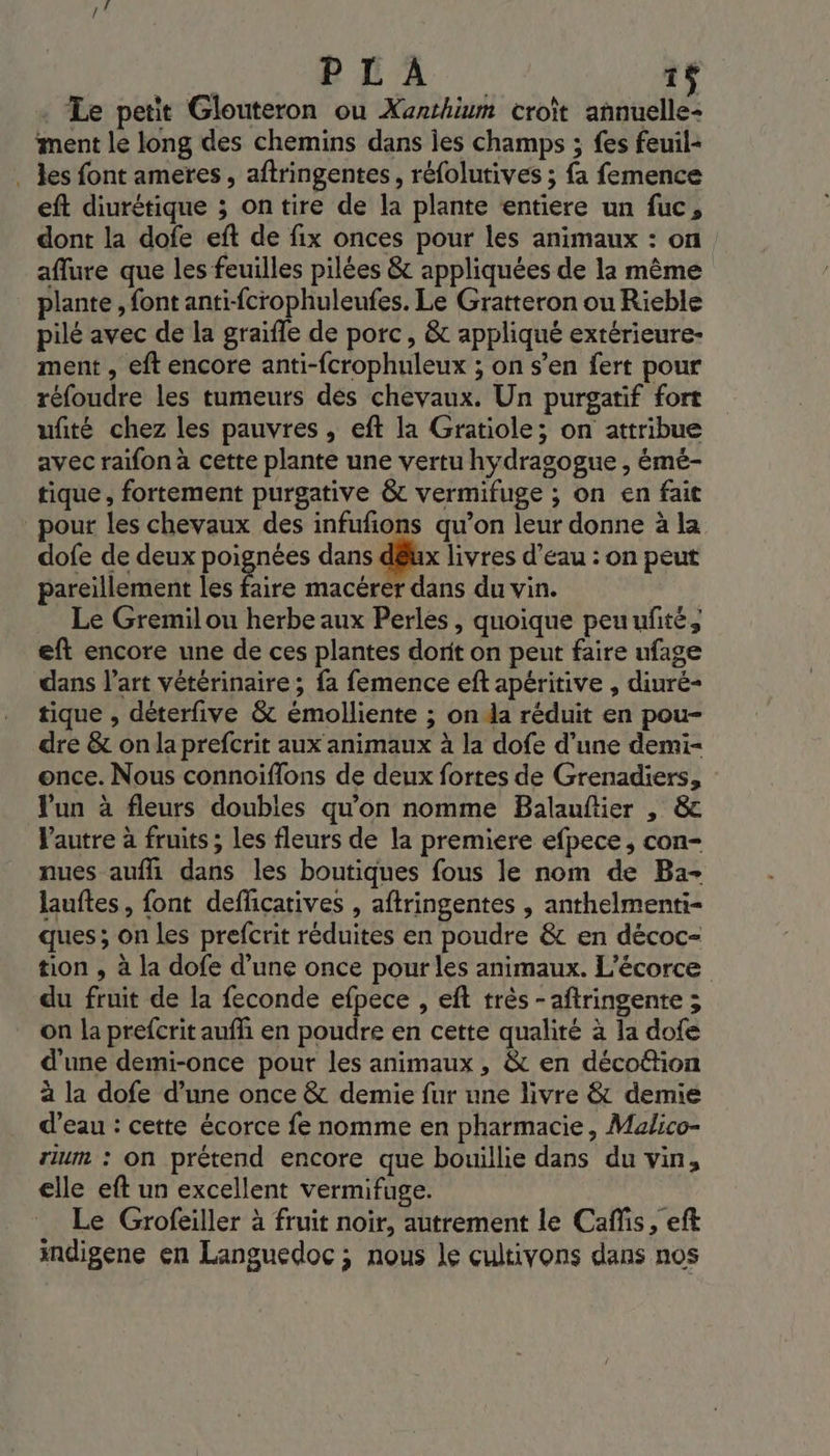 Le petit Glouteron ou Xanthium croît indé ment le long des chemins dans les champs ; fes feuil- . es font ameres, aftringentes, réfolutives ; fa femence eft diurétique ; on tire de la plante entiere un fuc, dont la dofe eft de fix onces pour les animaux : on aflure que les feuilles pilées &amp; appliquées de la même plante, font anti-fcrophuleufes. Le Gratteron ou Rieble pilé avec de la graifle de porc, &amp; appliqué extérieure- ment , eft encore anti-fcrophuleux ; on s’en fert pour réfoudre les tumeurs dés chevaux. Un purgatif fort ufité chez les pauvres, eft la Gratiole; on attribue avec raifon à cette plante une vertu hydragogue , émé- tique, fortement purgative &amp; vermifuge ; on en fait pour les chevaux des infufions qu’on leur donne à la dofe de deux poignées dans dêux livres d’eau : on peut pareillement les Aire macérer dans du vin. Le Gremil ou herbe aux Perles, quoique peuufñté, eft encore une de ces plantes dorit on pent faire nfage dans l’art vétérinaire ; fa femence eft apéritive , diuré- tique , déterfive &amp; émolliente ; on da réduit en pou- dre &amp; on la prefcrit aux animaux à la dofe d’une demi- once. Nous connoiflons de deux fortes de Grenadiers, lun à fleurs doubles qu'on nomme Balauftier , &amp;c Vautre à fruits ; les fleurs de la premiere efpece , con- nues aufli dans les boutiques fous le nom de Ba- lauftes, font defficatives , aftringentes , anthelmenti- ques; on les prefcrit réduites en poudre &amp; en décoc- tion , à la dofe d’une once pour les animaux. L'écorce du fruit de la feconde efpece , eft très -aftringente ; on la prefcrit aufhi en poudre en cette qualité à la dofe d’une demi-once pour les animaux, &amp; en déco@tion à la dofe d’une once &amp; demie fur une livre &amp; demie d’eau : cette écorce fe nomme en pharmacie, Malico- um : on prétend encore que bouillie dans du vin, elle eft un excellent vermifuge. Le Grofeiller à fruit noir, autrement le Cafis, eft indigene en Languedoc ; nous le cultivons dans nos