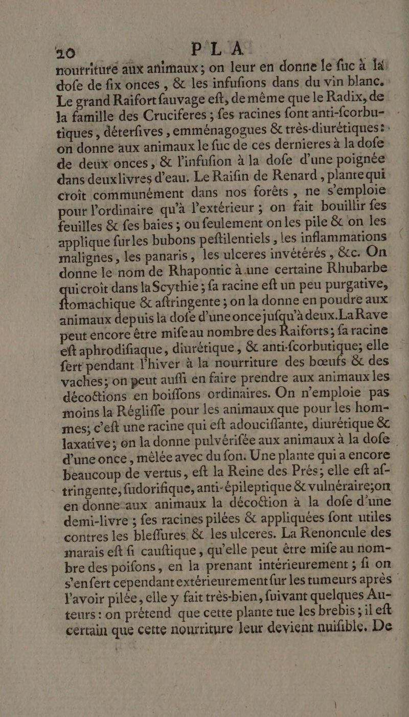 nourriture aux animaux; on leur en donne le fuc à 4: dofe de fix onces , &amp; les infufions dans du vin blanc. Le grand Raïfort fauvage eft, de même que le Radix, de la famille des Cruciferes ; fes racines font anti-fcorbu- tiques , déterfives , emménagogues &amp; très-diurétiques à: on donne aux animaux le fuc de ces dernieres à la dofe de deux onces , &amp; l’infufon à la dofe d’une poignée dans deuxlivres d’eau. Le Raifin de Renard , planrequi croit communément dans nos forêts, ne s'emploie pour l'ordinaire qu'à l'extérieur ; on fait bouillir fes feuilles &amp; fes baies ; ou feulement on les pile &amp; on les applique furles bubons peftilentiels ; les inflammations malignes , les panaris, les ulceres invétérés , &amp;cc. On donne le nom de Rhapontic à une certaine Rhubarbe uicroit dans la Scythie ; fa racine eft un peu purgative, démrichiate &amp; aftringente ; on la donne en poudre aux animaux depuis la dofe d’une once jufqu'à deux.LaRave peut encore être mife au nombre des Raiforts; fa racine eft aphrodifiaque, diurétique, &amp; anti-fcorbutique; elle fert pendant l'hiver à la nourriture des bœufs &amp; des vaches; on peut aufli en faire prendre aux animaux les décottions en boïffons ordinaires. On n’emploie pas moins la Régliffe pour les animaux que pour les hom- mes; c’eft une racine qui eft adouciffante, diurétique &amp; laxative; on la donne pulvérifée aux animaux à la dofe d’unconce , mêlée avec du fon: Une plante qui a encore beaucoup de vertus, eft la Reine des Prés; elle eft af- : tringente, fudorifique, anti-épileptique &amp;vulnéraire;on en donne-aux animaux la décoftion à la dofe d'une demi-livre ; fes racines pilées &amp; appliquées font utiles contres les blefflures. &amp; les ulceres. La Renoncule des marais eft f cauftique , qu’elle peut être mife au nom- bre des poifons, en la prenant intérieurement ; fi on s'enfert cependantextérieurement{ur les tumeurs après l'avoir pilée, elle y fait très-bien, fuivant quelques Au- teurs: on prétend que cette plante tue les brebis ; il eft certain que cette nourriture leur devient nuifble. De