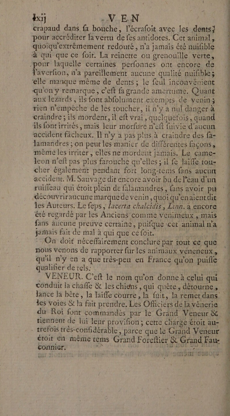 Bot: 0 00 EN EAN crapaud dans fa bouche, l’écrafoit avec les dents} pour accréditer la vertu de fes antidotes. Cet animal, quoiqu'extrèmement redouté , n'a jamais été nuifible à qui que ce foit. La reinette ou grenouille verte, -pour laquelle certaines perfonnes ont encore de T'averfon, n'a pareïllement aucune qualité nuifble; lle manque même de dents ; le feul inconvénient qu'on y remarque, c’eft fa grande amertume, Quant aux lezards , ils font abfolument exemprs de venin; rien n'empêche de les toucher, il n’y a nul danger à craindre ; ils mordent, il eft vrai, quelquéfois, quand als fontirrirés, mais leur morfure n’eft fuivie d'aucun accident fâcheux. Il n’y à pas plus à craindre des fa- lamandres ; on peut les manier de différentes façons, même Îles irriter, elles ne mordent jamais. Le came- leon n'eft pas plus farouche qu'elles ; il fe Jaifle tou- cher également pendant fort long-tems fans aucun accident. M. Sauvage dit encore avoir bu de léau d’un ruifleau qui étoit plein de falamandres, fans avoir pu découvriraucune marque de venin ,quoiqu'enaientdit été regardé par les Anciens comme veénimeux , mais fans aucune preuve certaine, puifque \cet animal n’a jamais fait de mal à qui que cé foit. si : ‘On doit néceffairement conclure par tout ce que nous venons de rapporter fur les animaux véneneux, qu'il ny en a que très-peu en France qu'on puifle qualifier de tels: | dates conduir la chaffe &amp; les chidns , qui quête, détourne, les voies &amp; la fait prendre. Les Officiers de lavénerie du Roï font commandés par le Grand Veneur &amp; tiénnént de lui leur provifion; cetre charge étoit au- trefois trés-confidérable , parce que le Grand Veneur étoit en même tems Grand Foreflier &amp; Grand Fau- l PPT ET Te Û ‘ , (SRI 7 dei à - à L PR