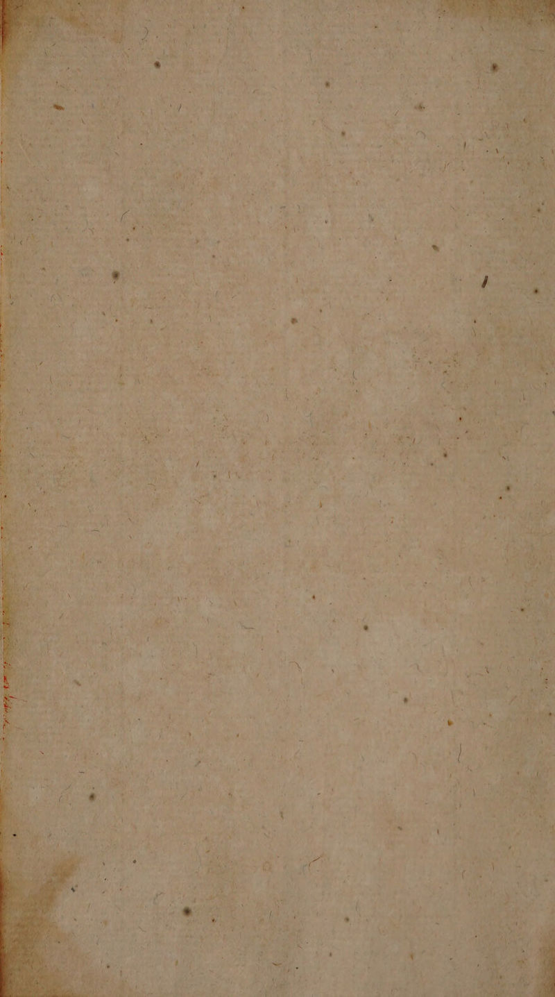 L]